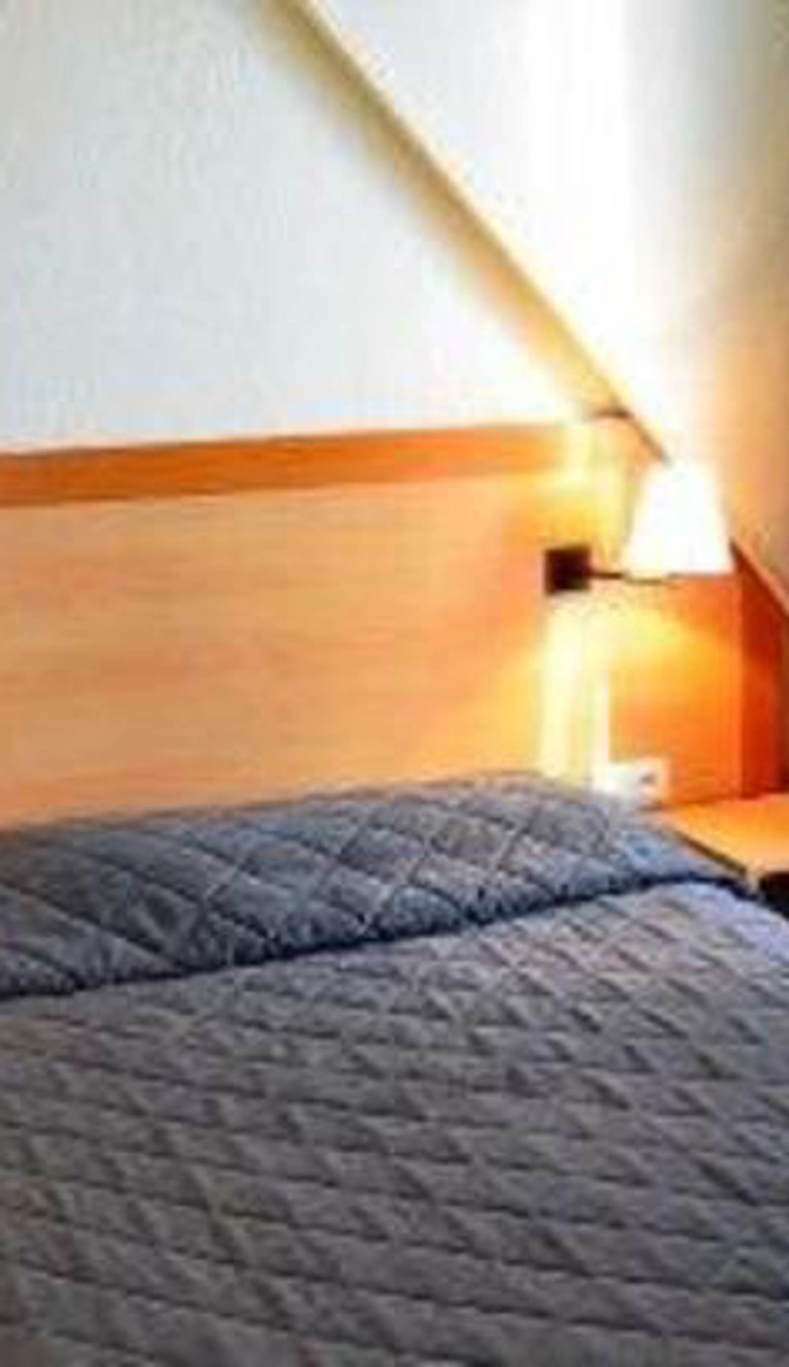 Hotel Chemin Vert