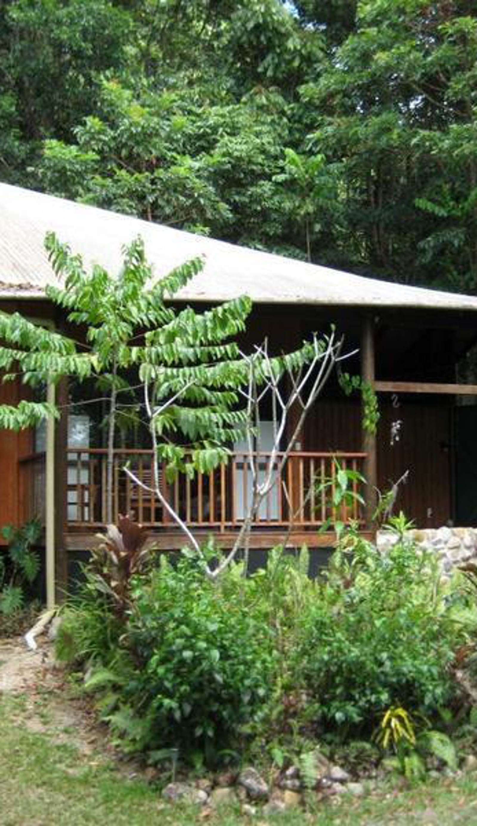 The Epiphyte B & B