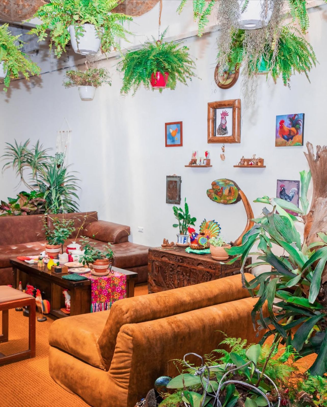 Dosis Cafe y Hostal
