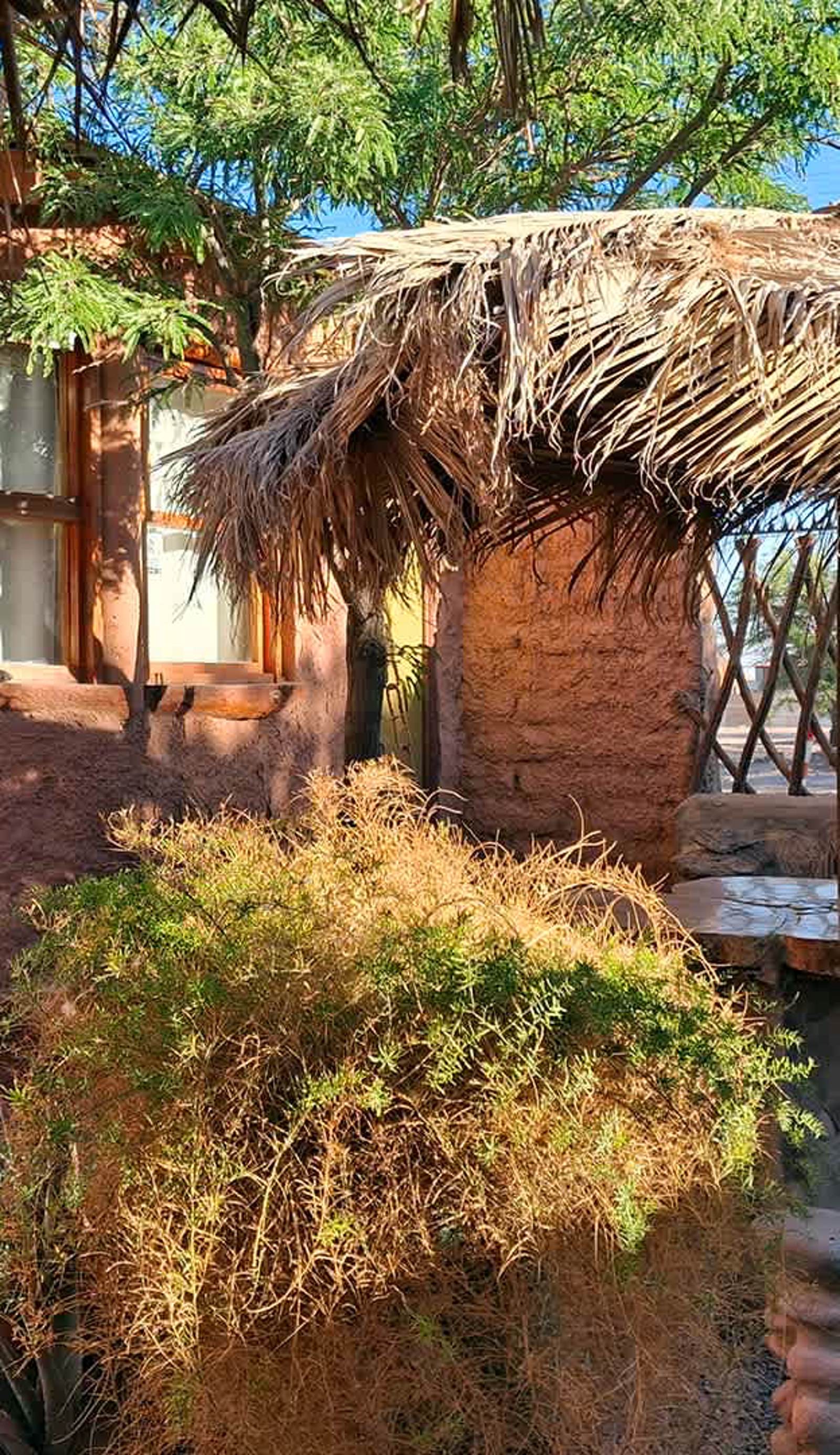 Jama Hostel