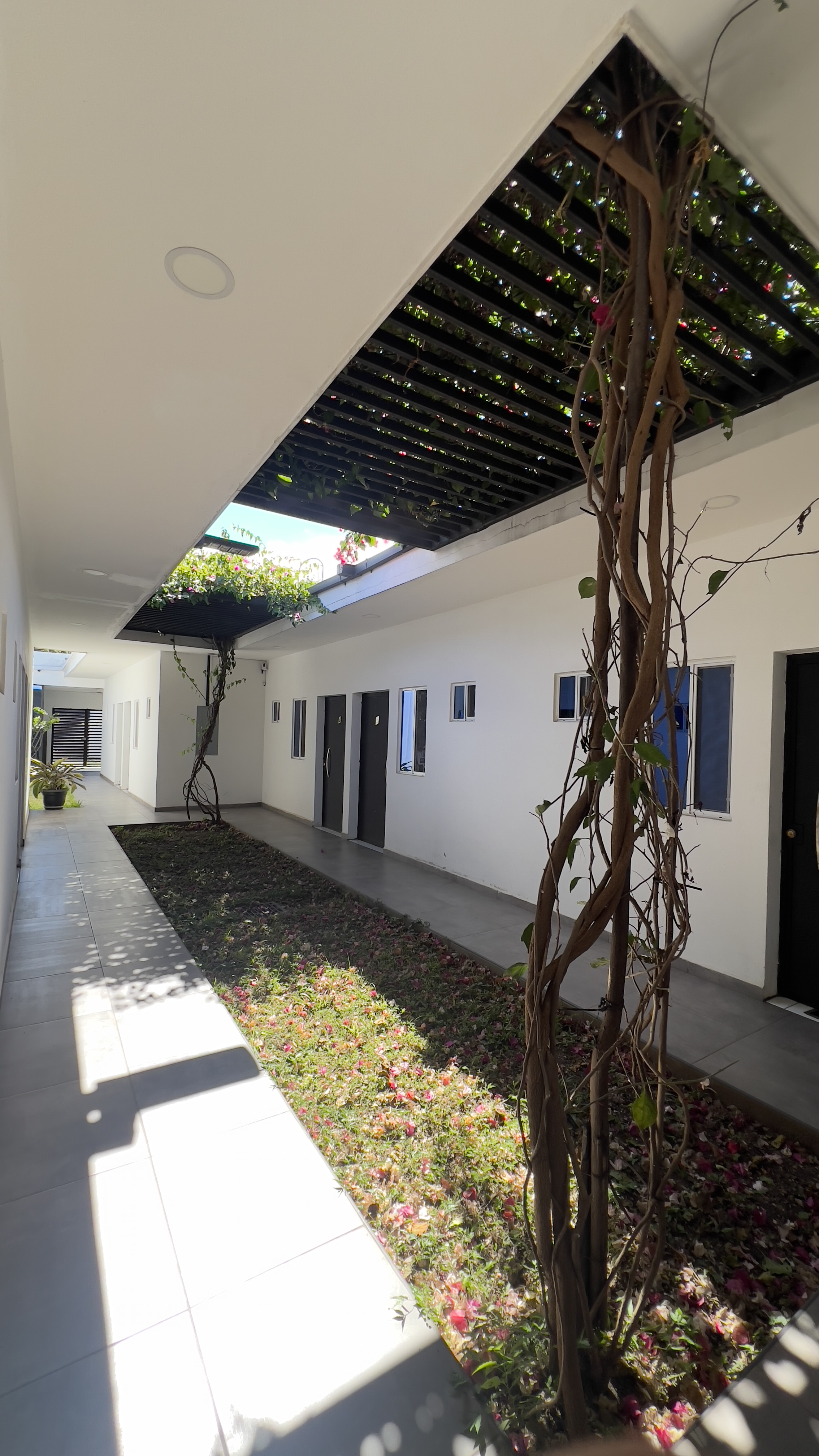 Hostel Happies Santa Ana