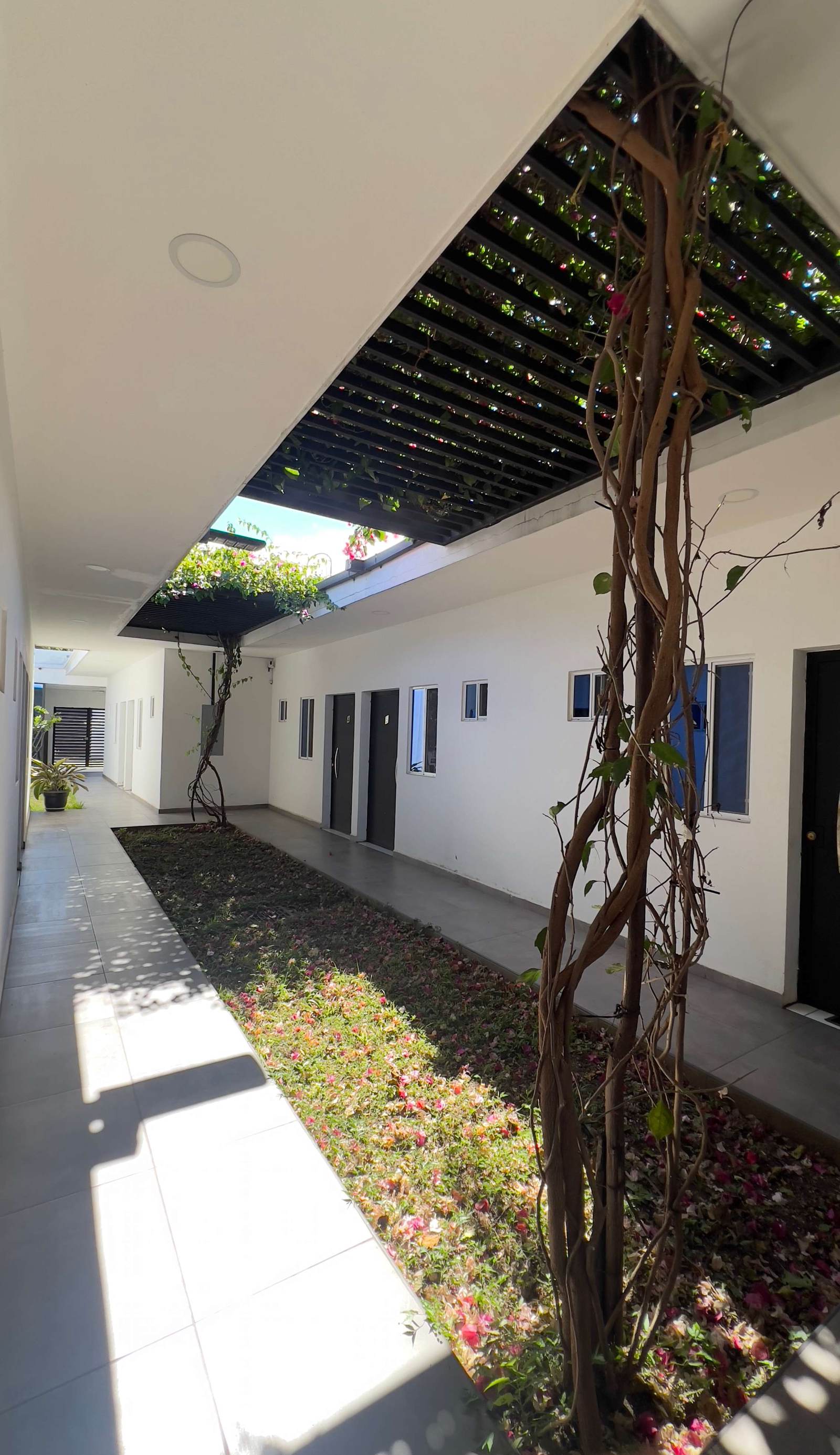 Hostel Happies Santa Ana