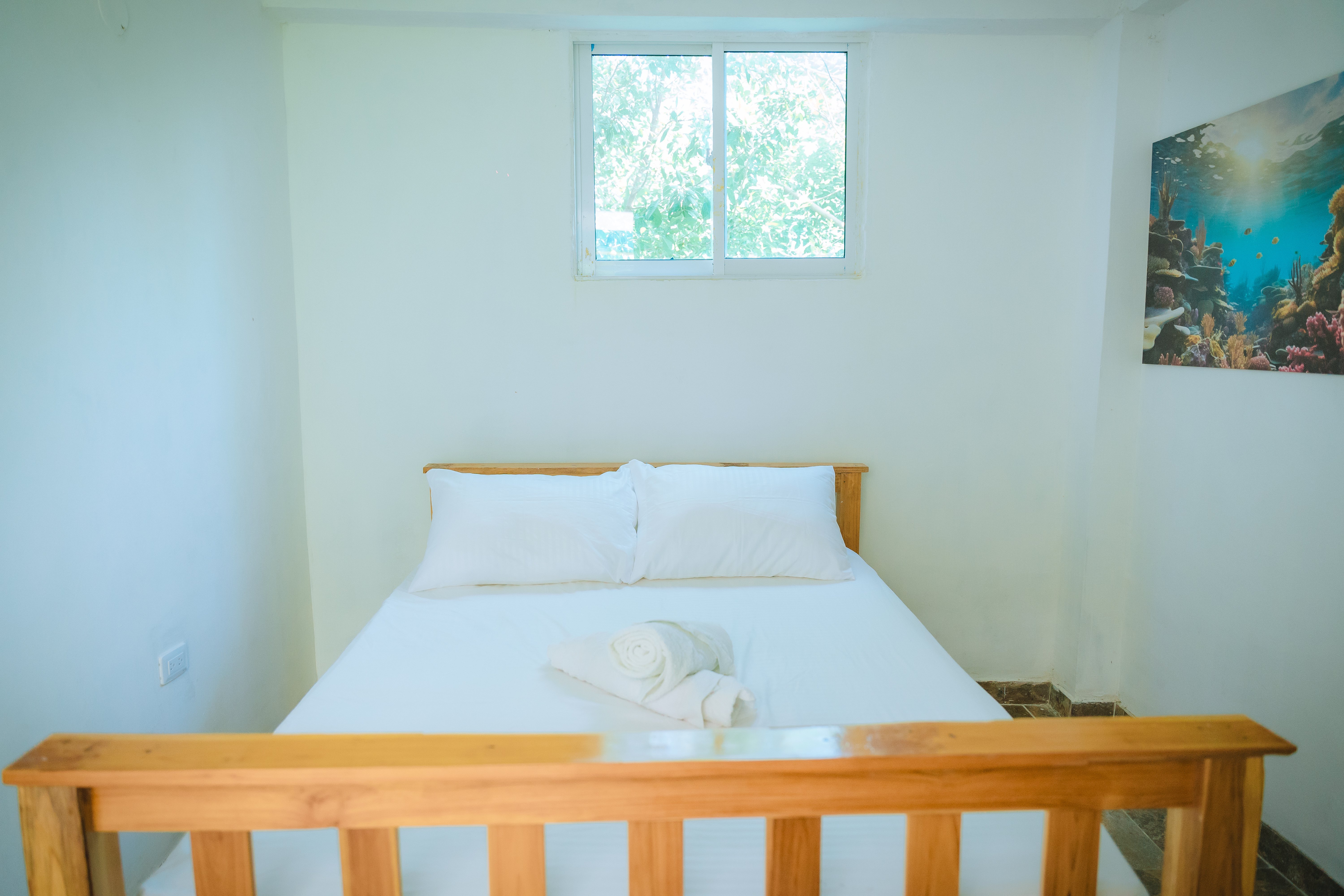Perla Negra - House Hostel