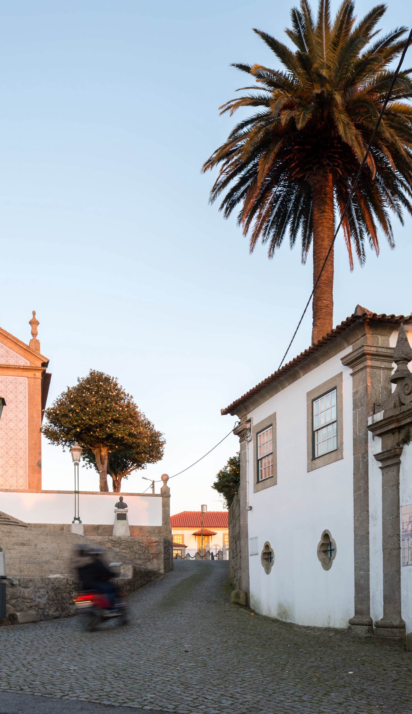 Quinta Sao Miguel de Arcos