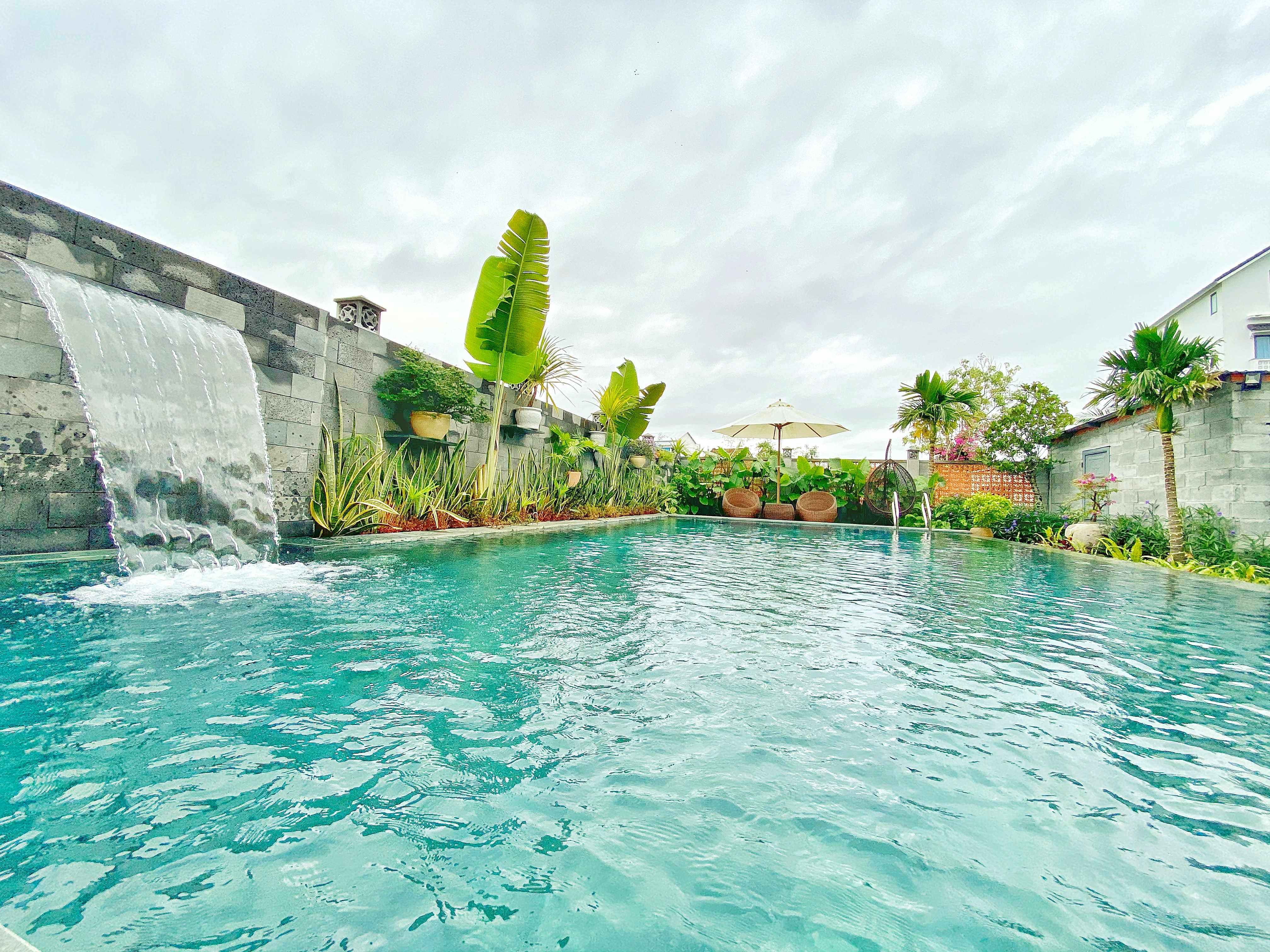 Hoi An Cabbage Garden