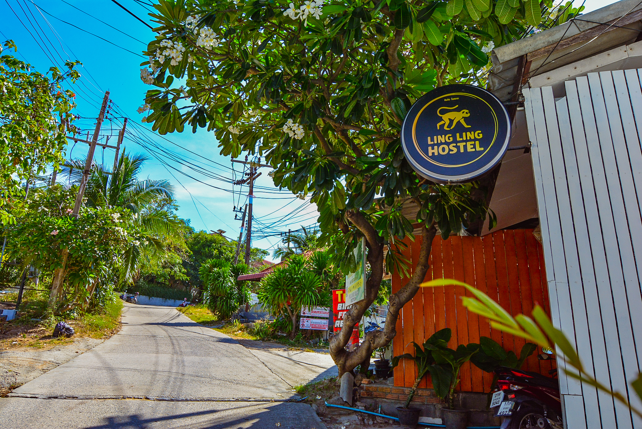 Lingling Hostel