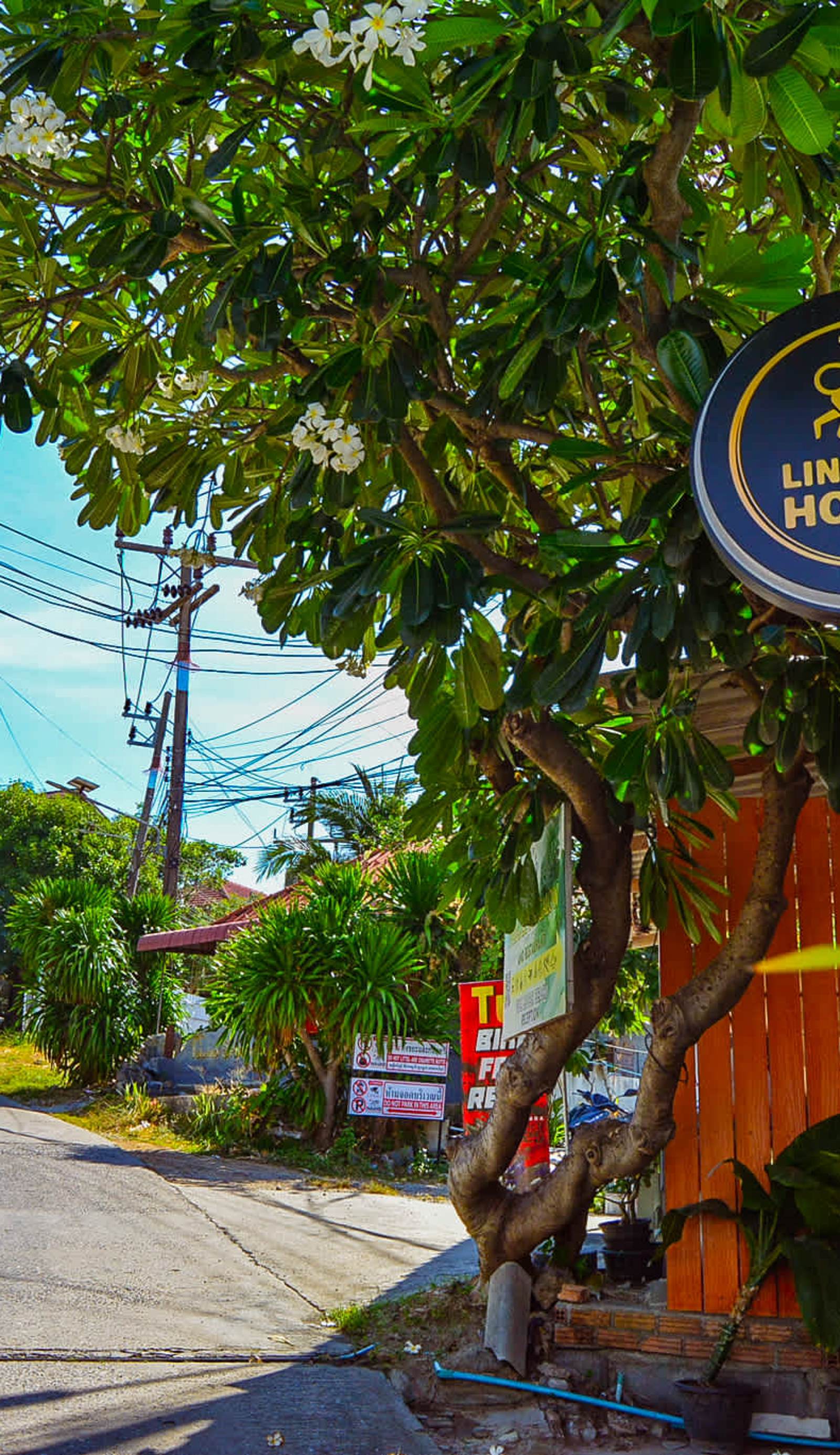 Lingling Hostel