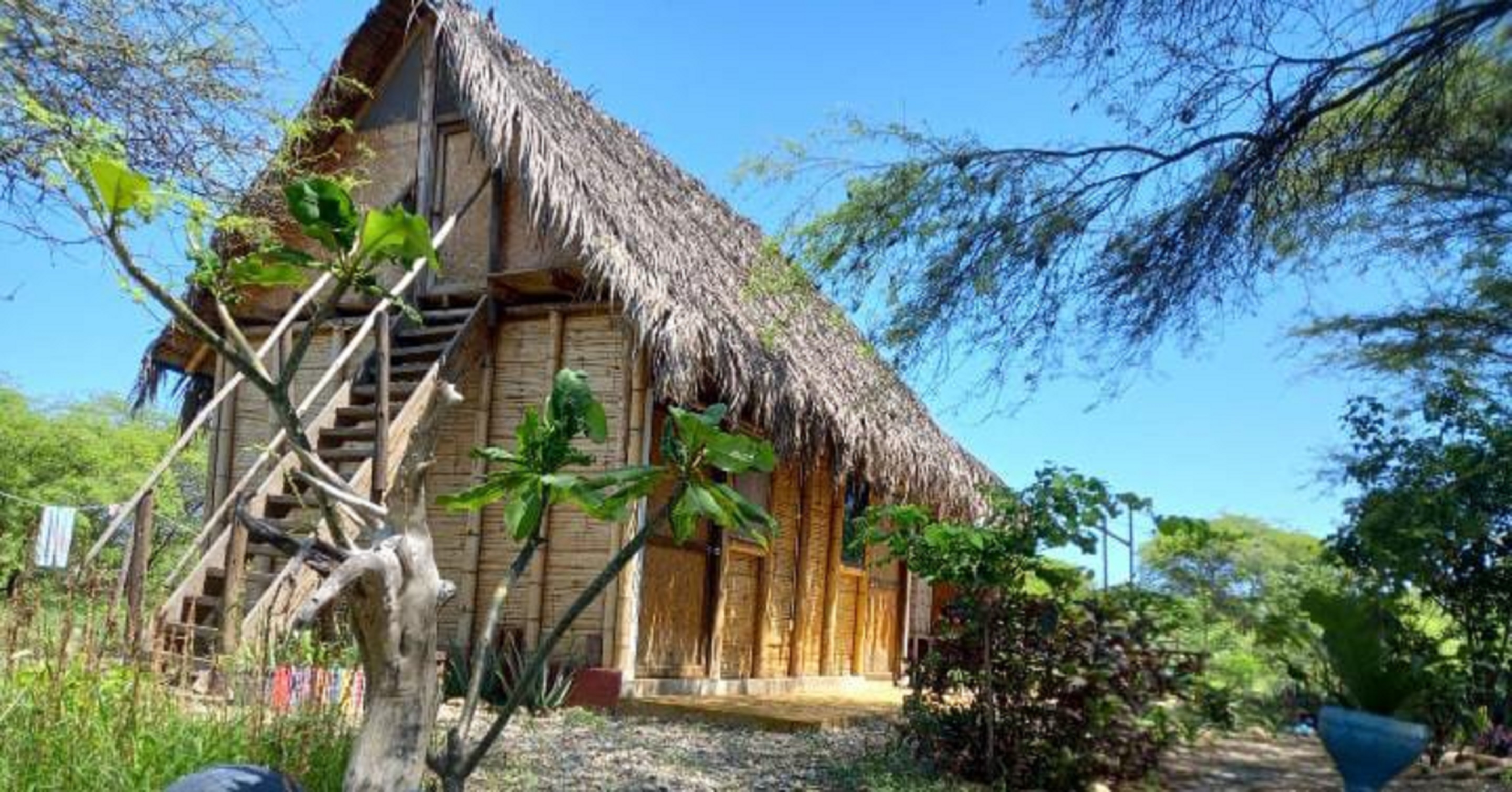 Wasi Center, Holistic and Mystic
