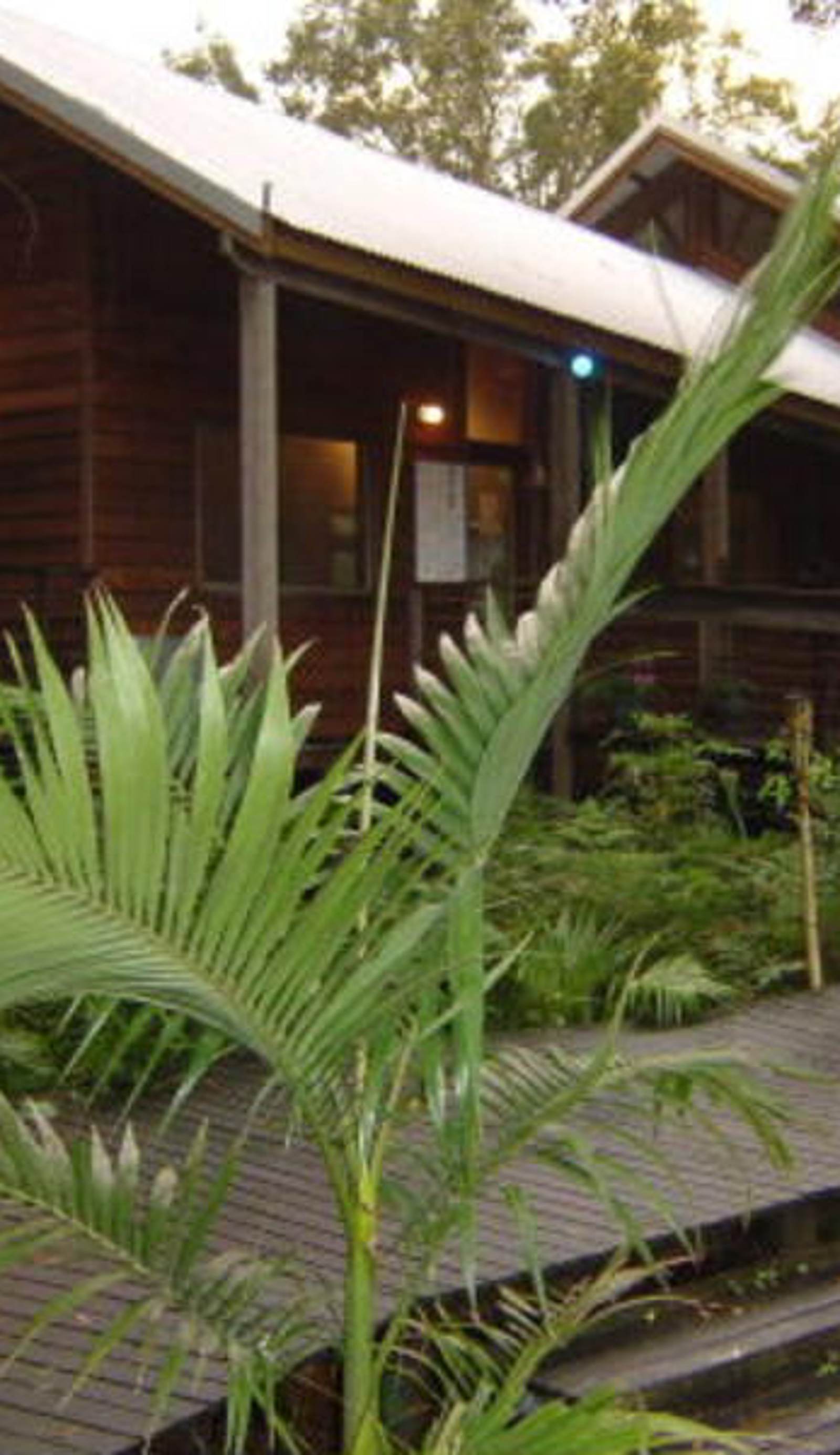 Melaleuca Surfside Backpackers