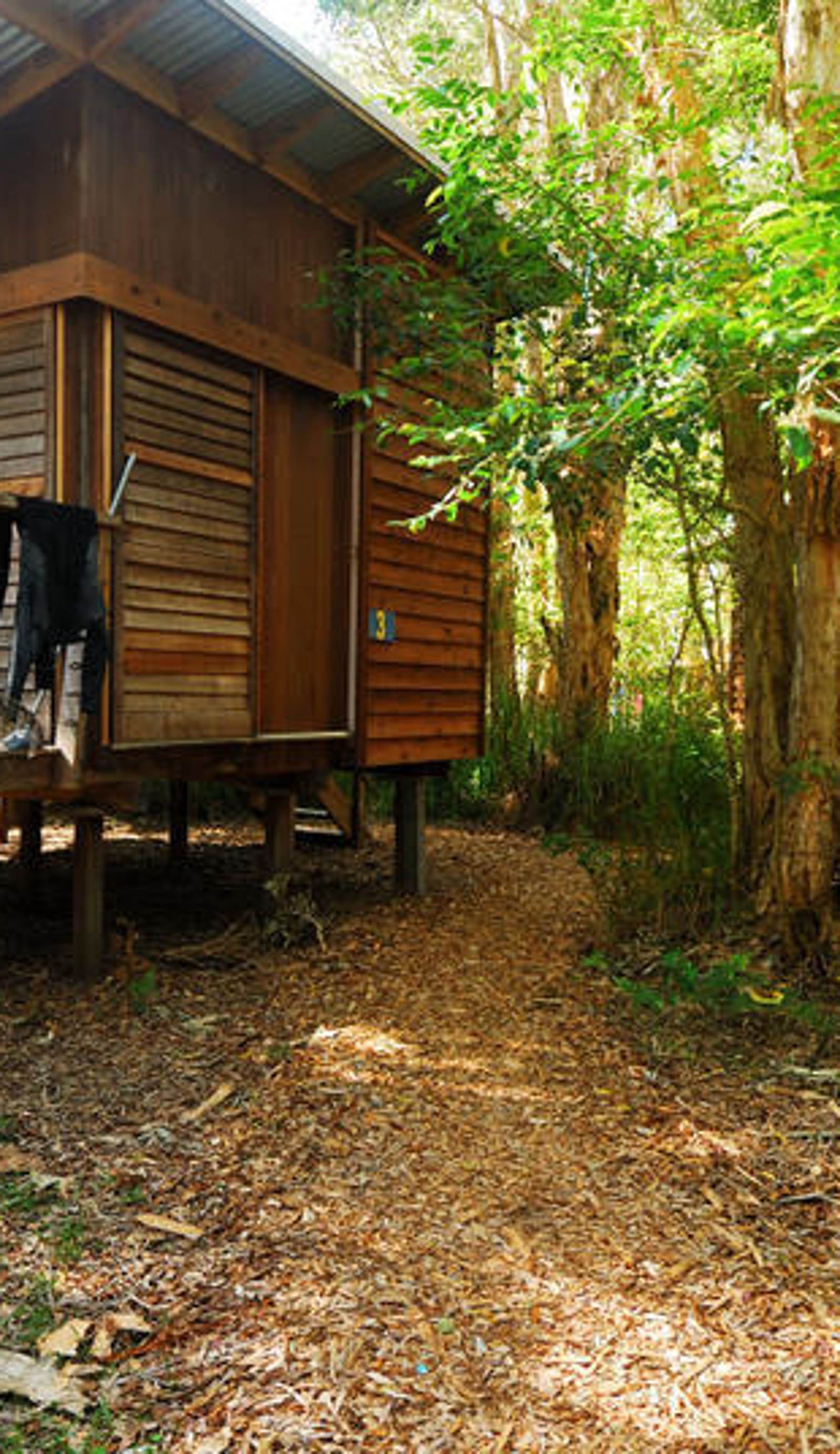 Melaleuca Surfside Backpackers
