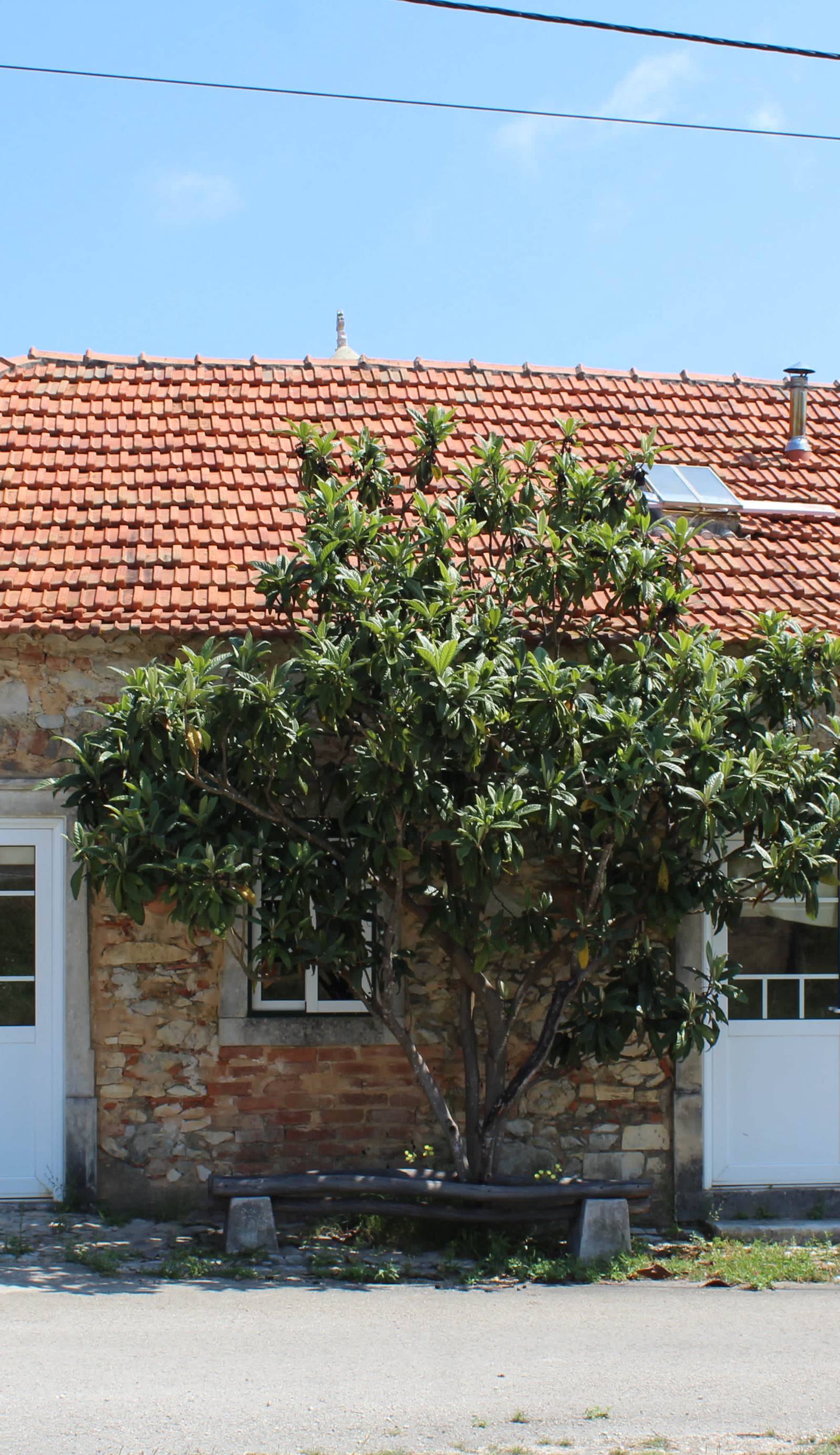 Pereira Guesthouse