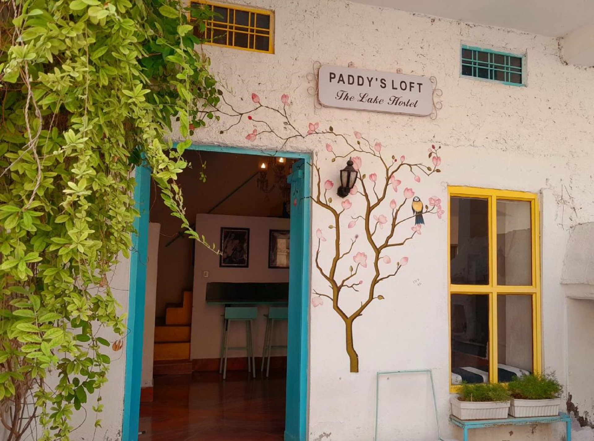 Paddys Loft The Lake view hostel