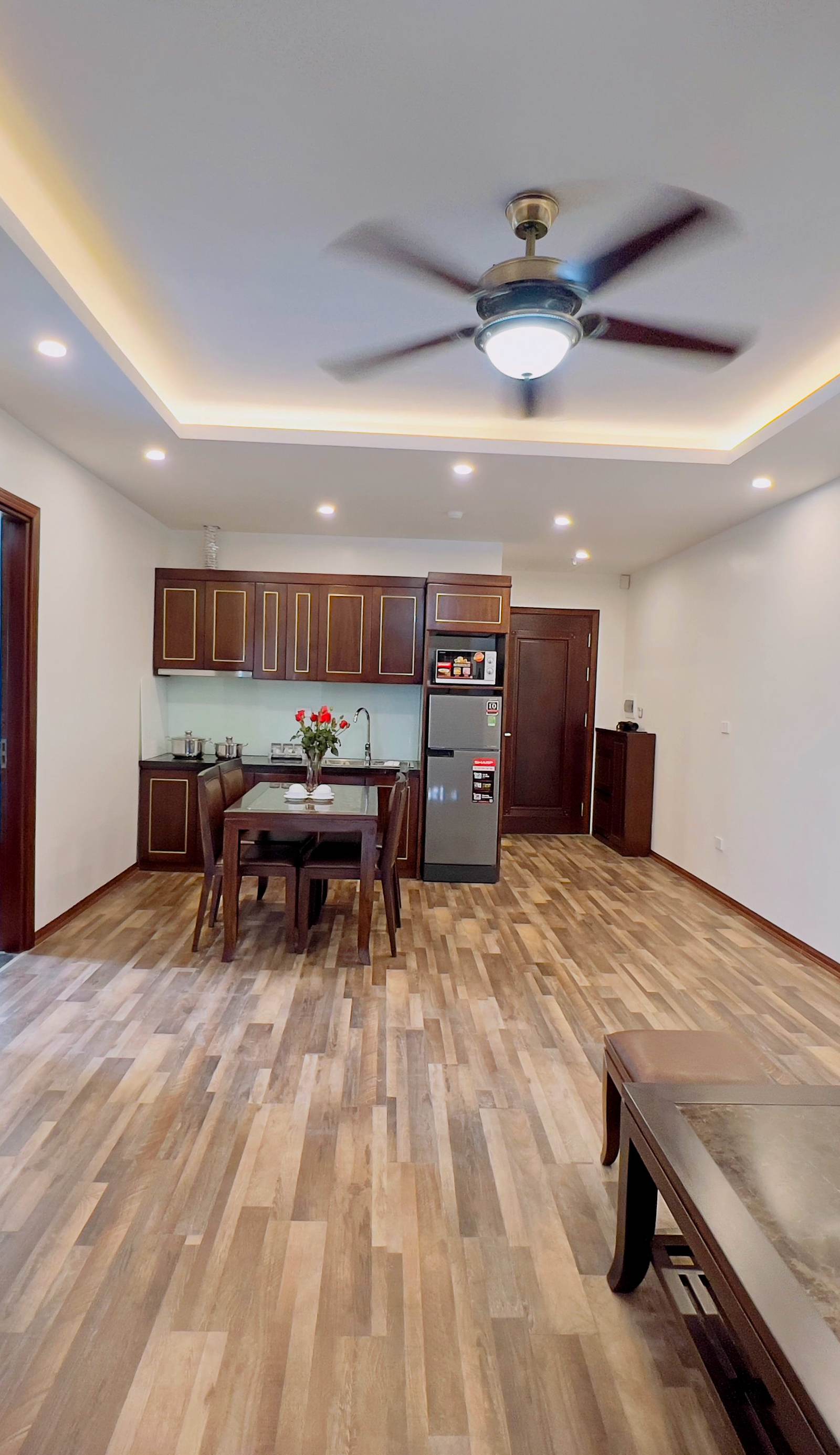 Hanoi Apartment