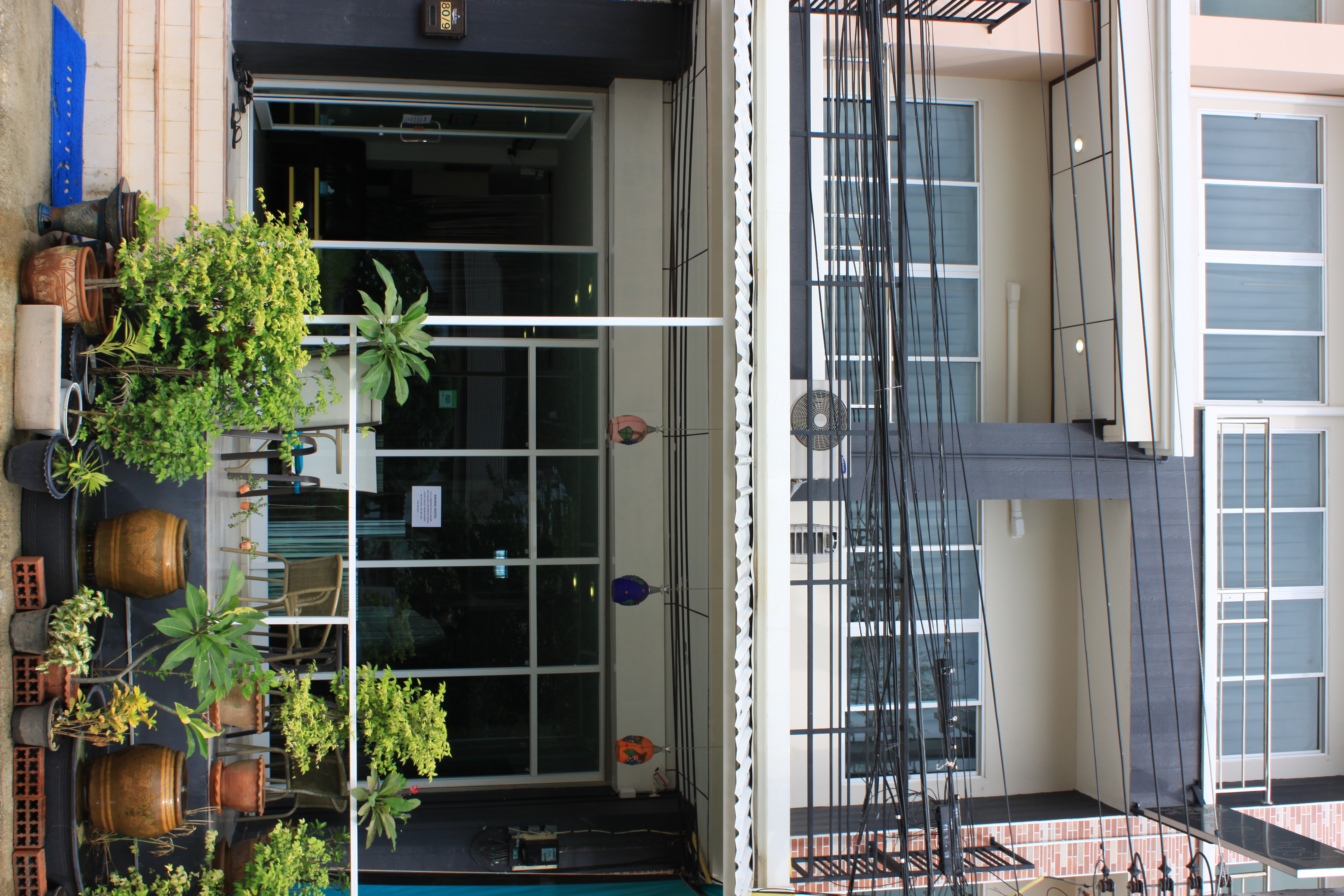 Ananas Central Phuket Hostel