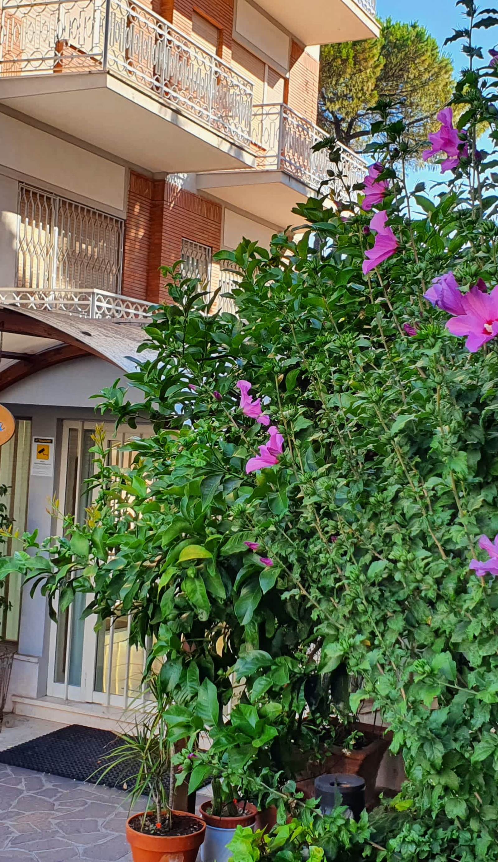 Villa Letizia - Casa per ferie