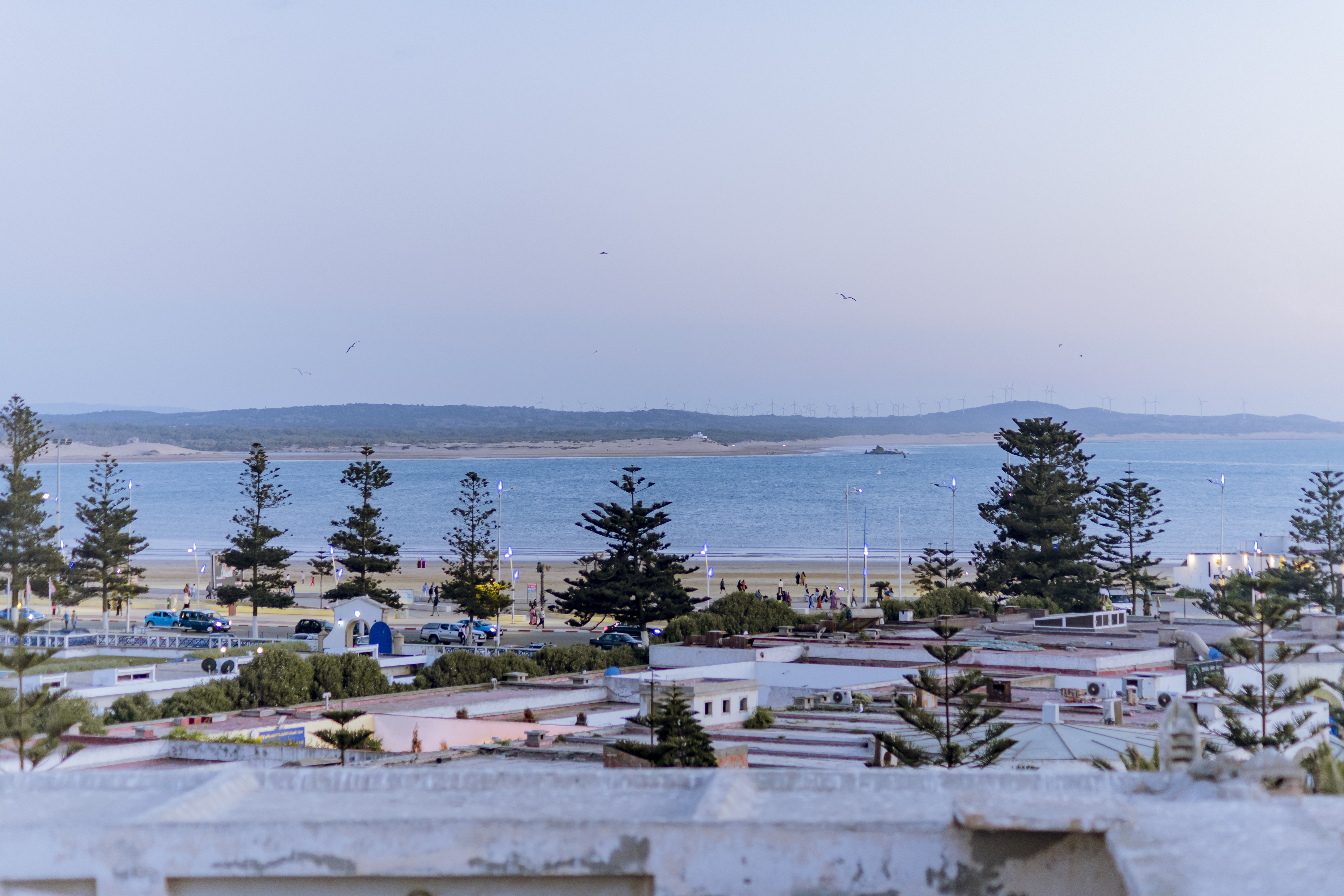 Giraffe Hostel- Sea View Rooftop