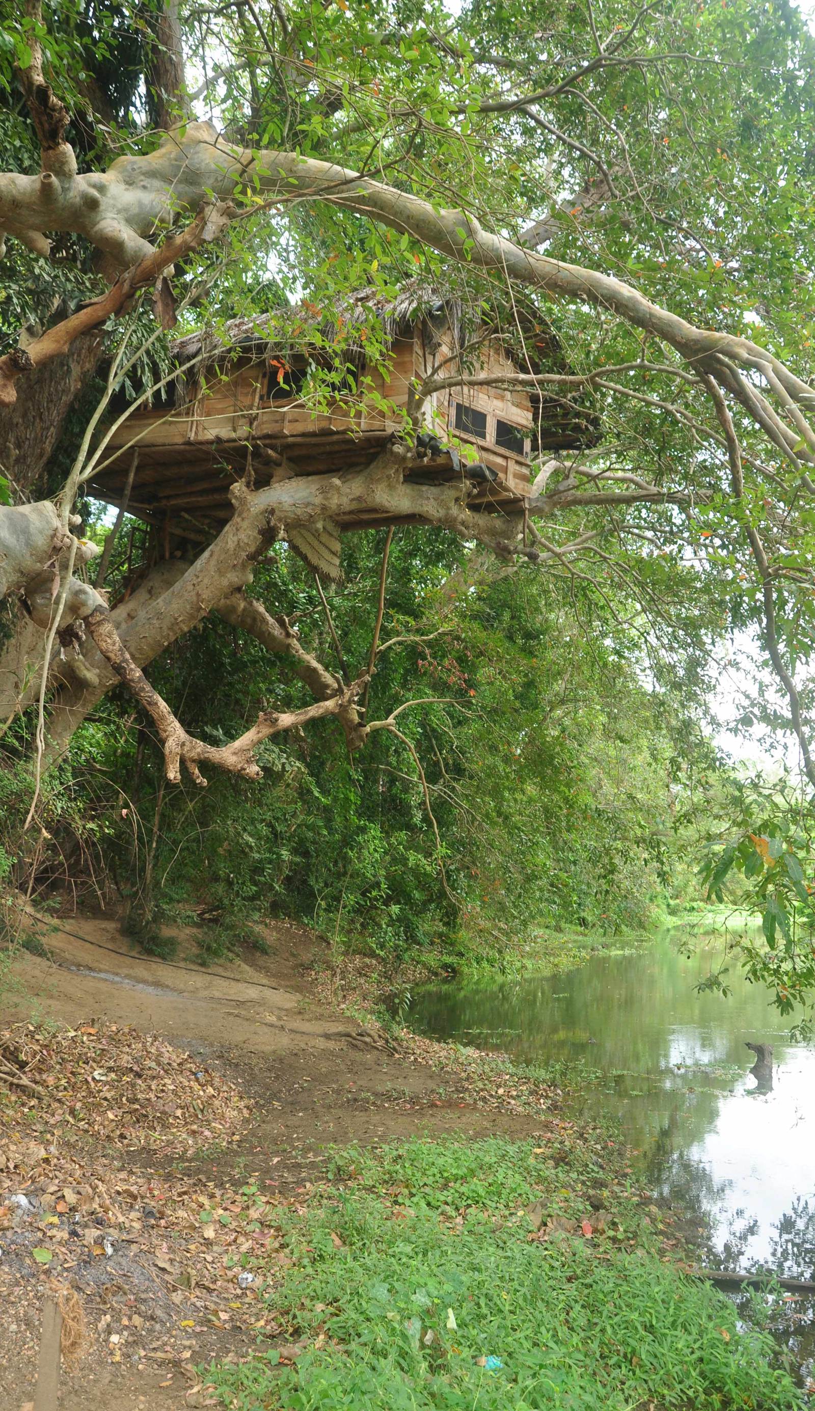 Yala Shenu Safari Tourist Inn