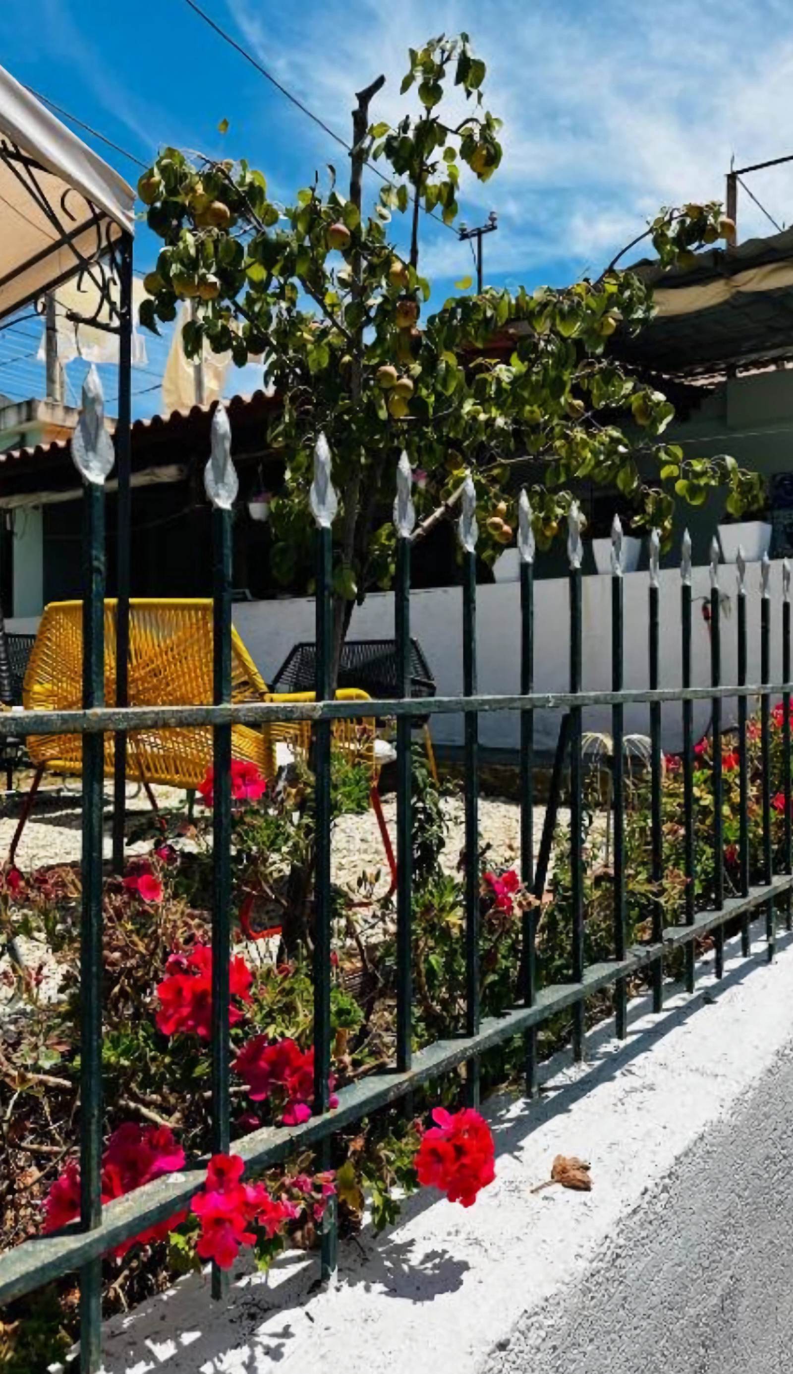 Natural Hostel