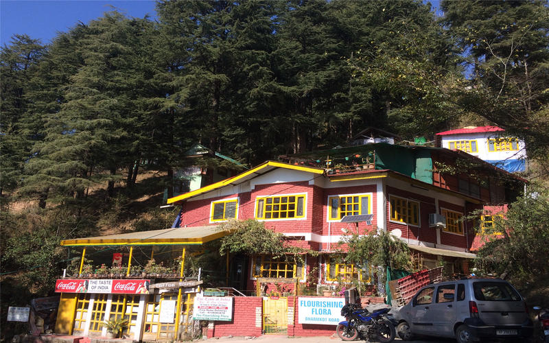 McLeodGanj Homestay at The Flourishing Flora