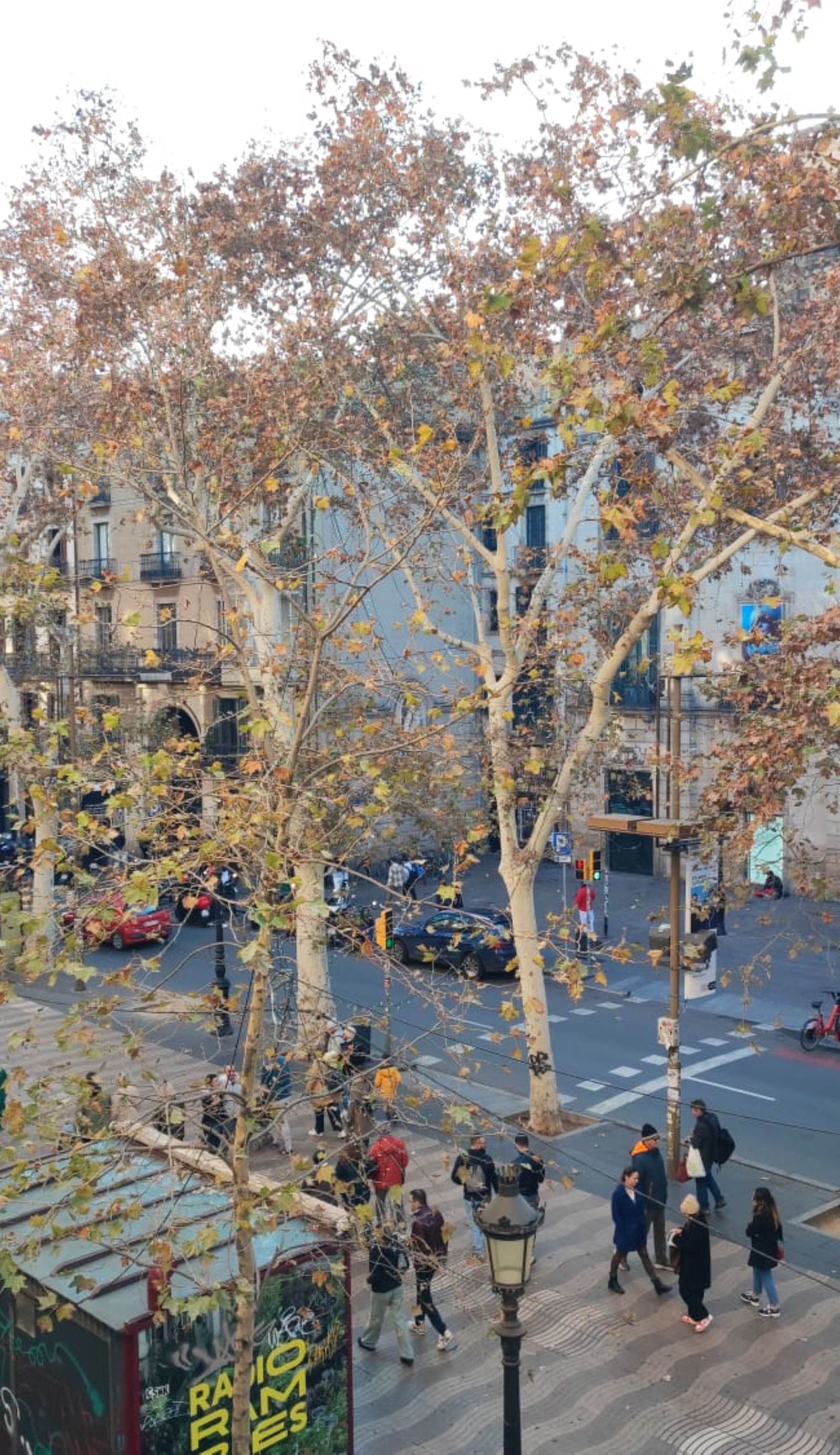 Hostal Parisien Las Ramblas