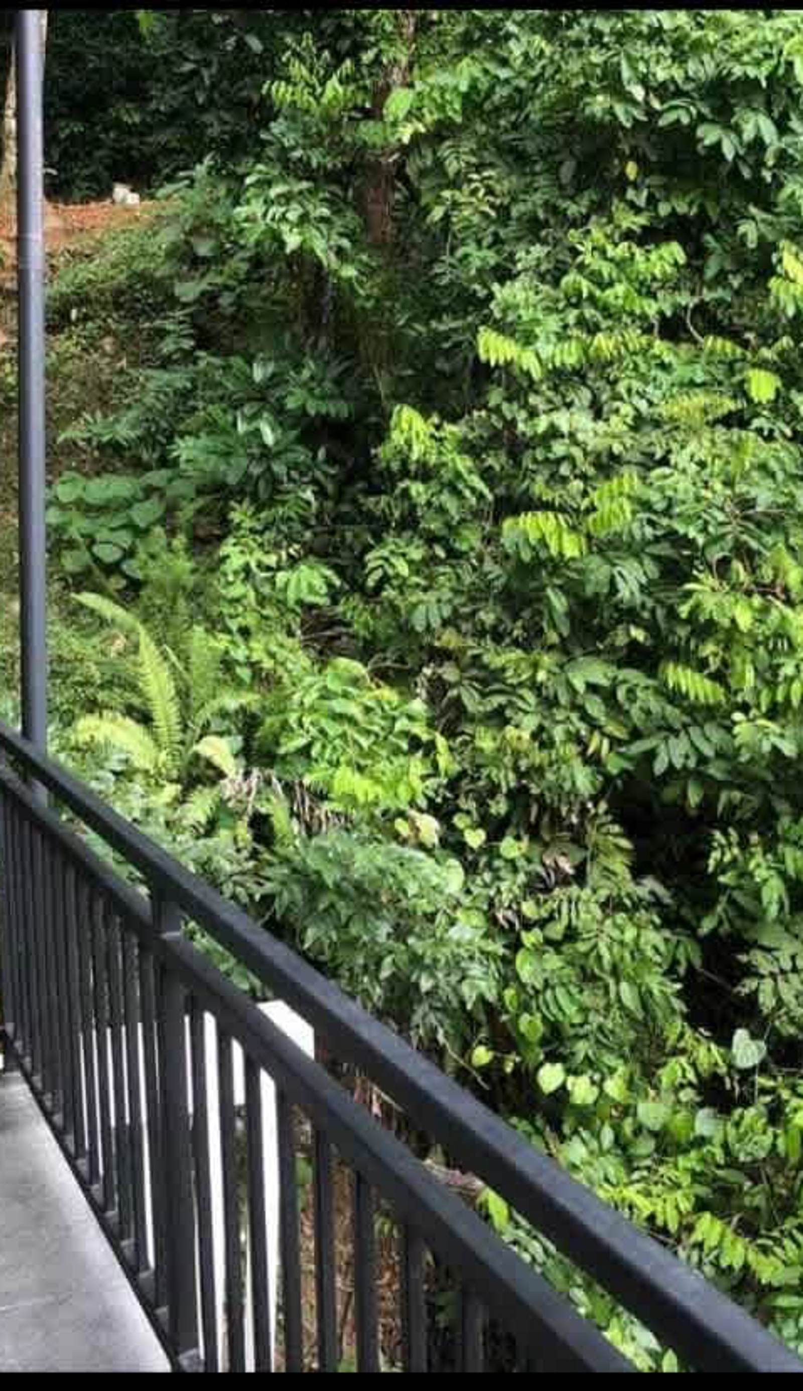 Beekke Nature Villa Hostel