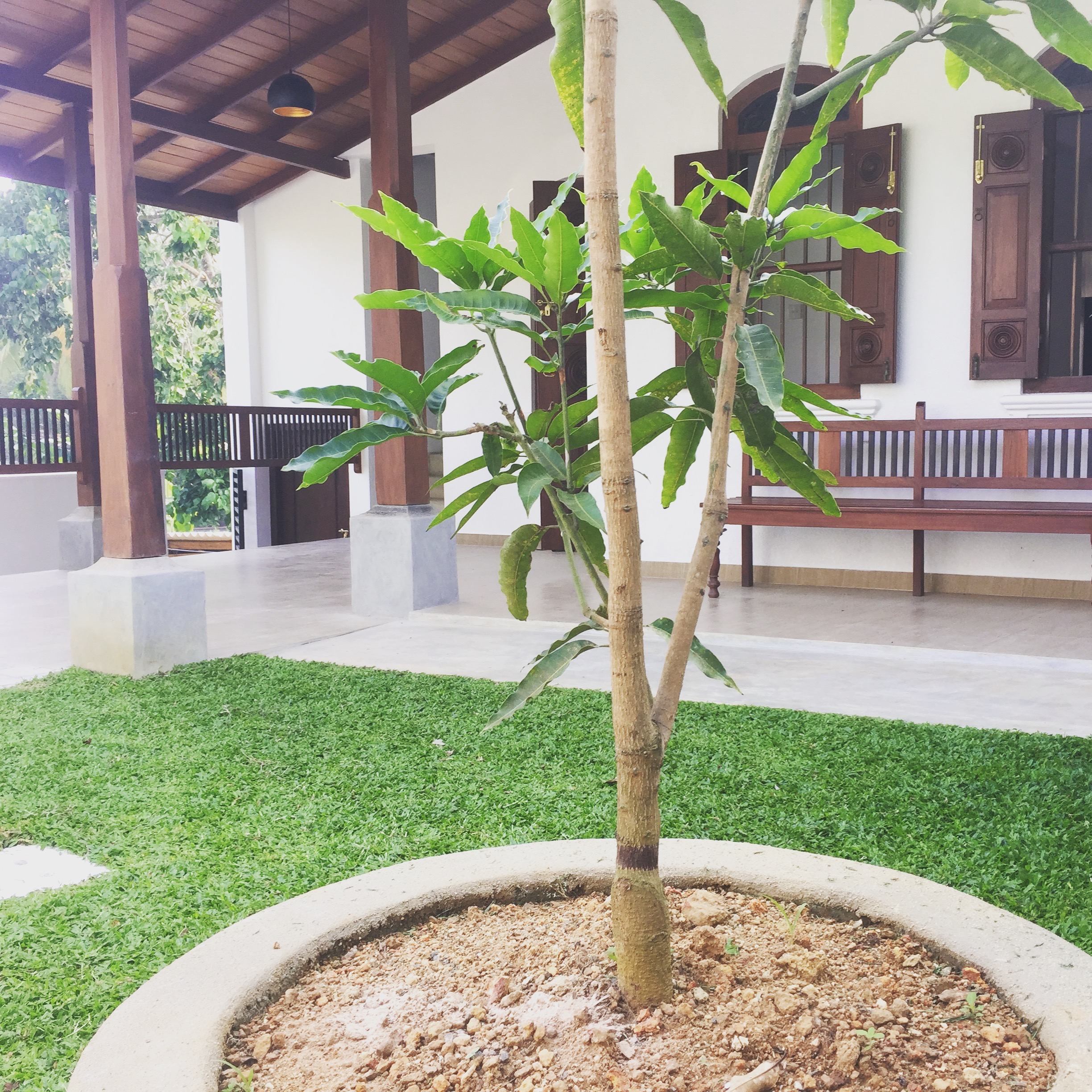 Nature's Lodge - Galle
