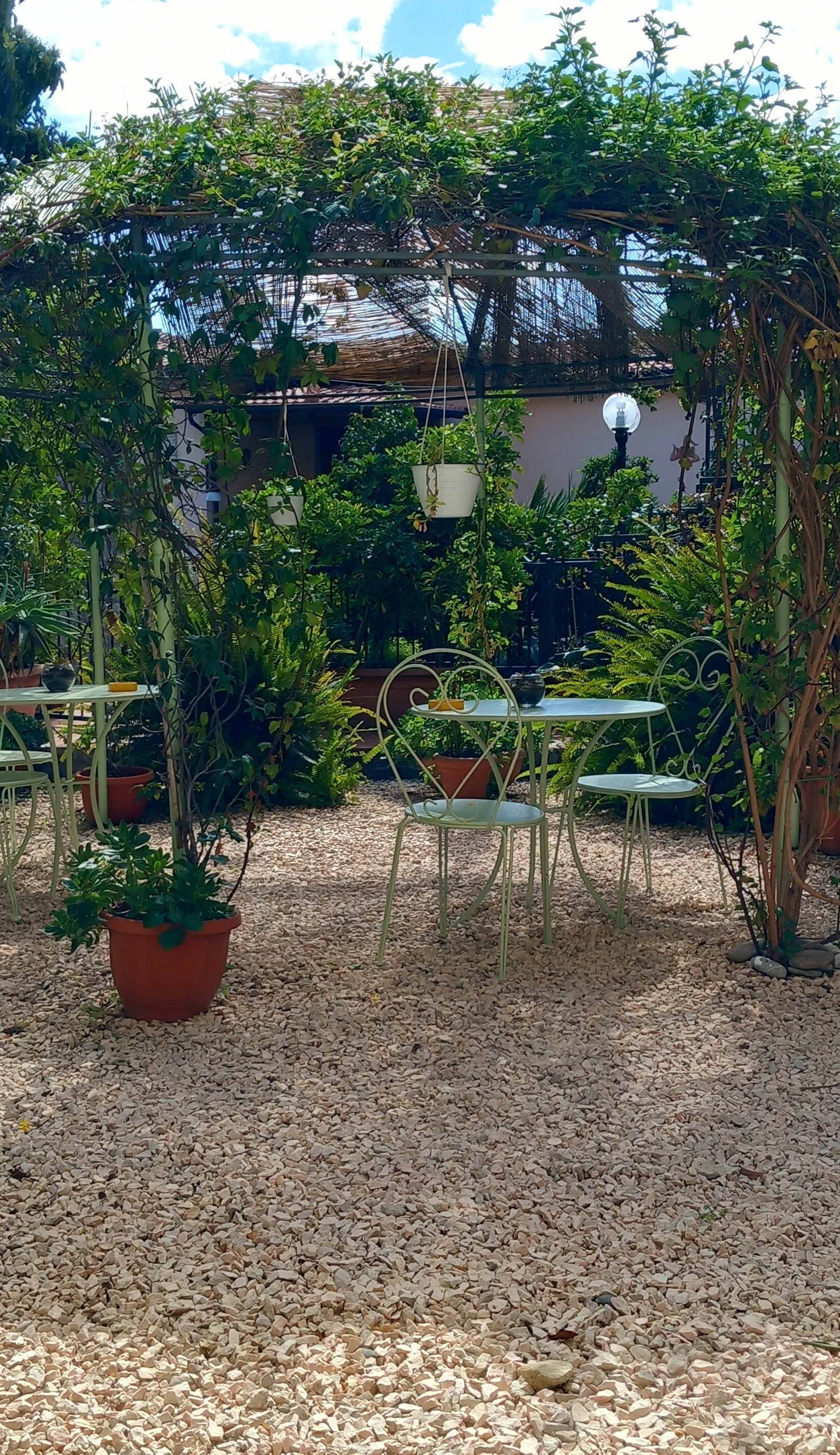 B&B Rosangela