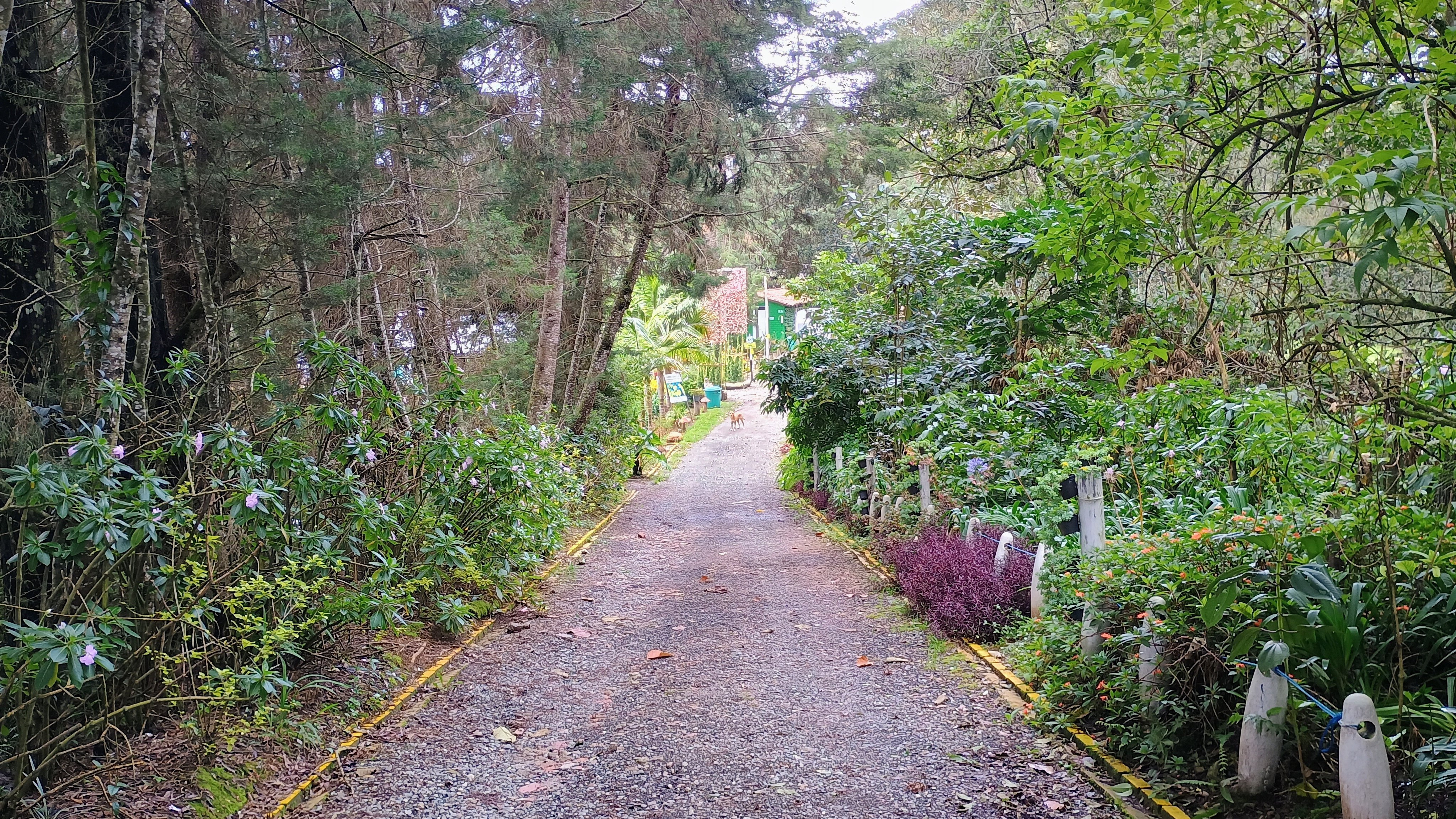 HOSPEDAJE SANTAELENA -Chalets de Montaña