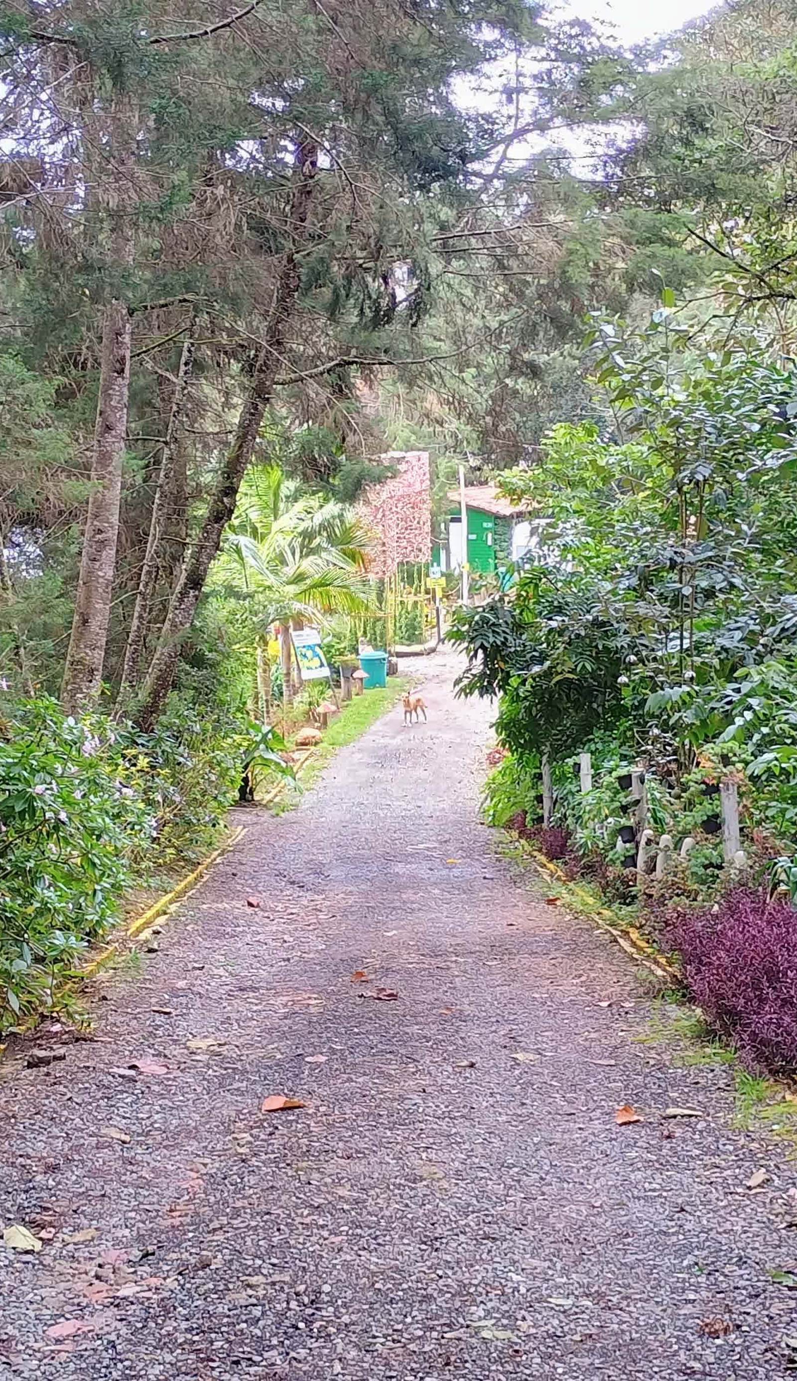 HOSPEDAJE SANTAELENA -Chalets de Montaña