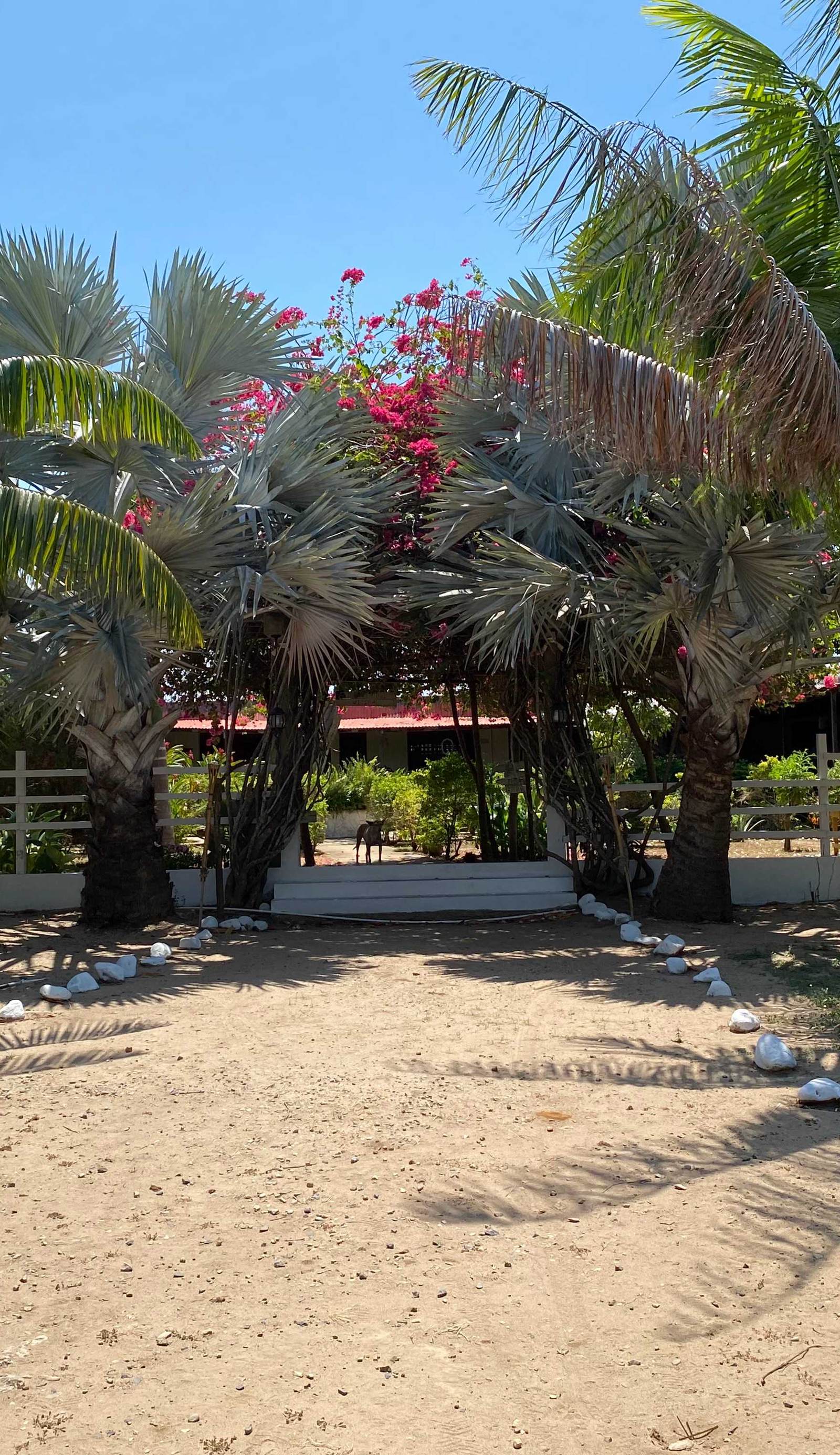 Coccoloba Beach Hostel