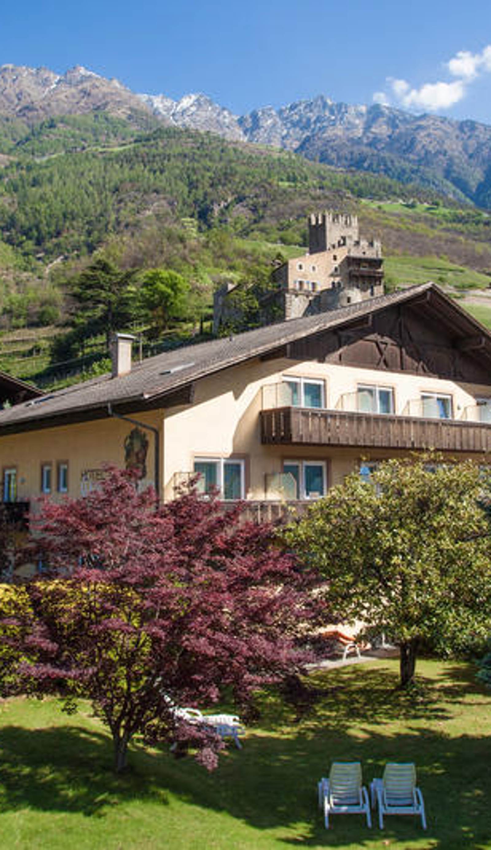 Hotel Weingarten