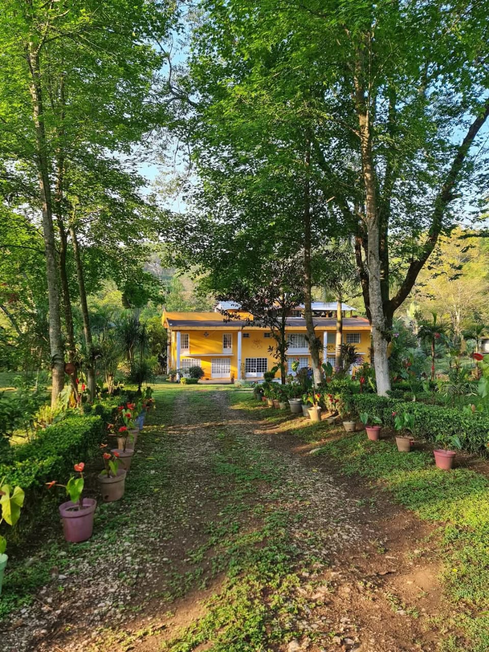 Hostel Jardin de los Anturios
