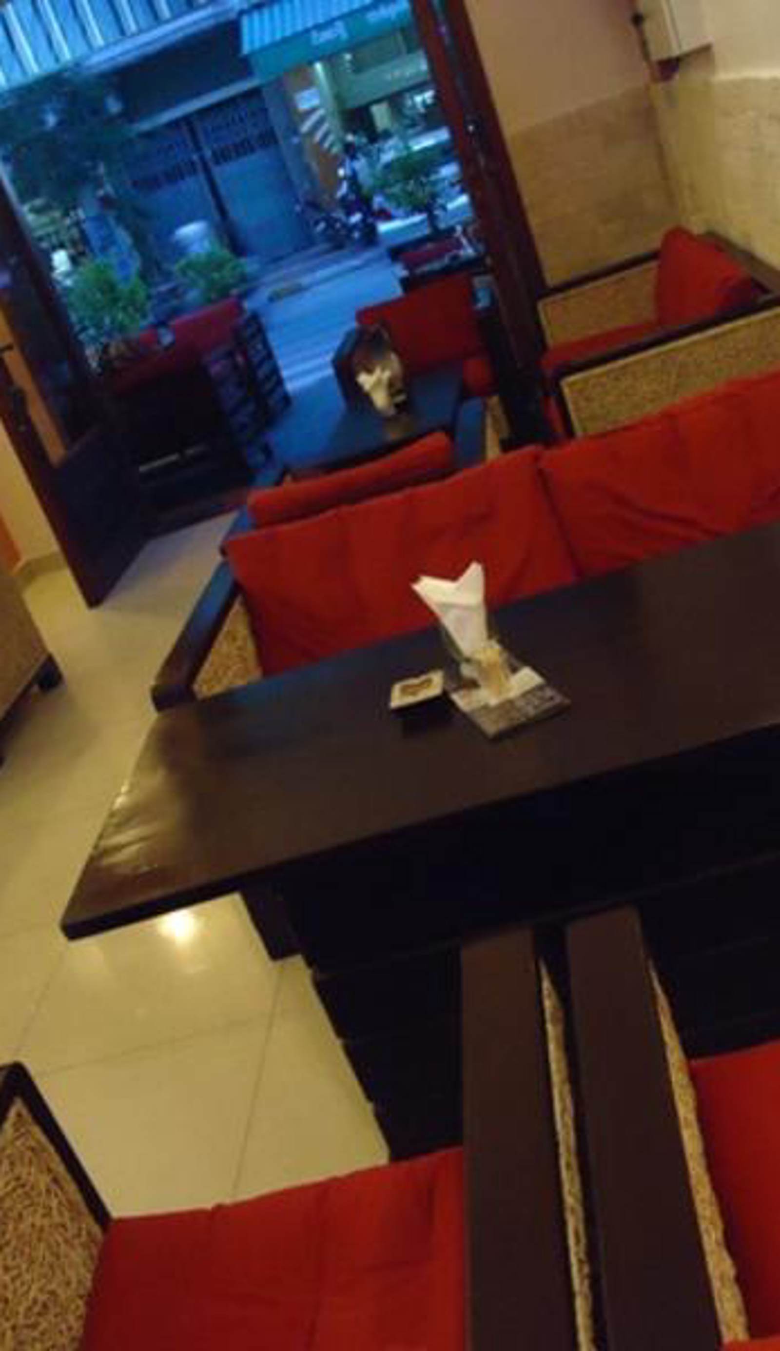 Hotel Star Paradise