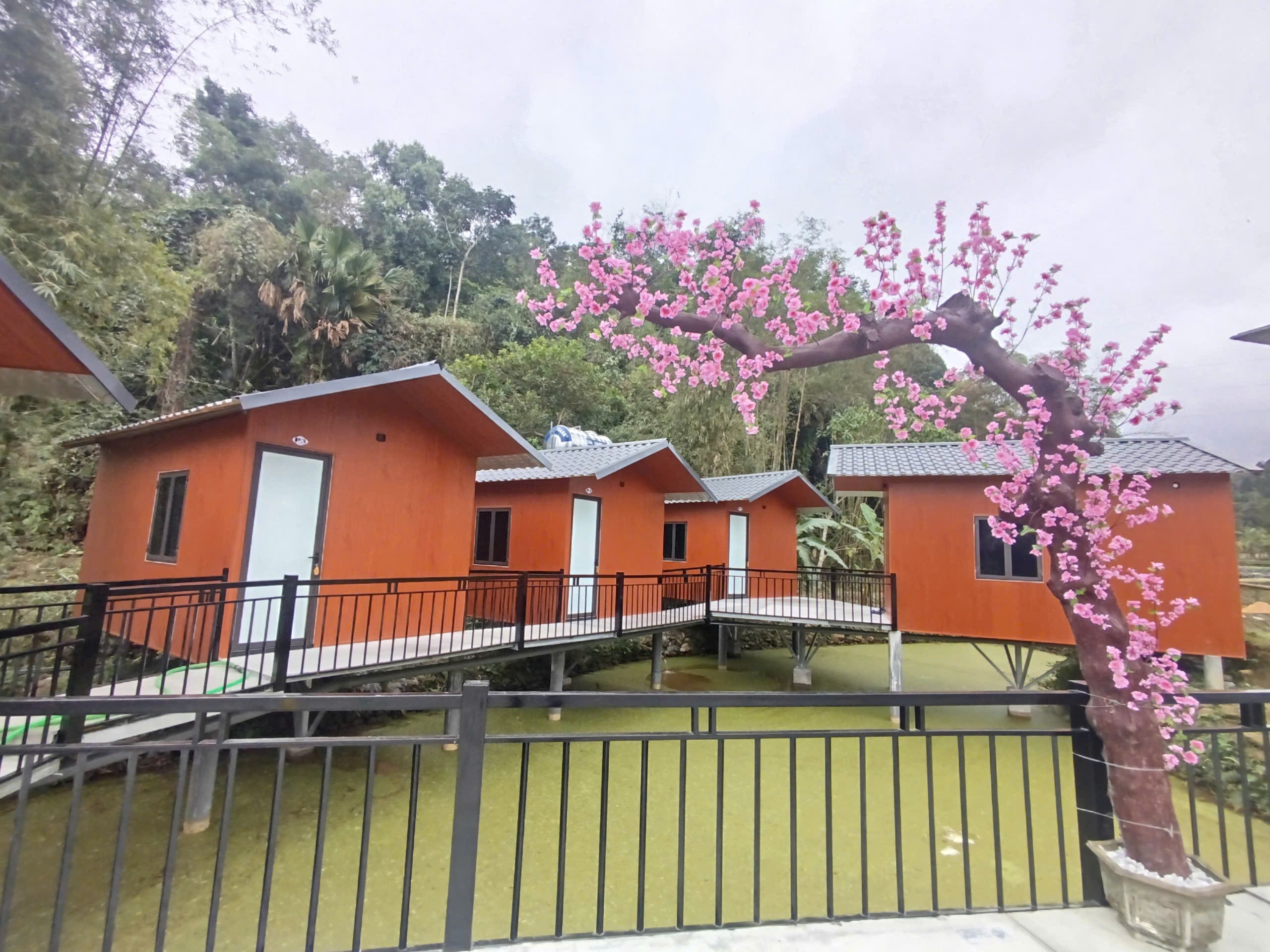 Little Tay Village Homestay