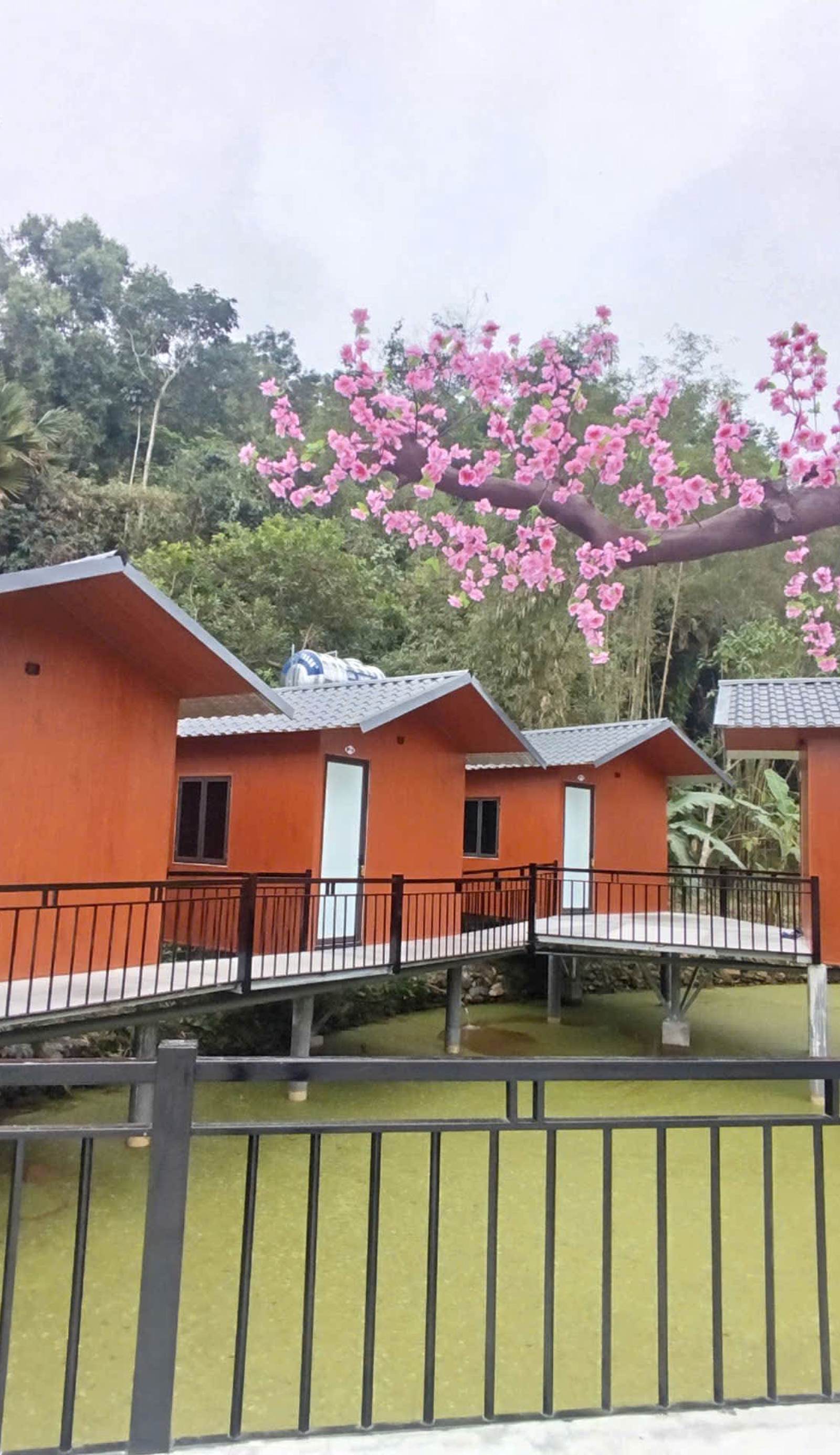Little Tay Village Homestay