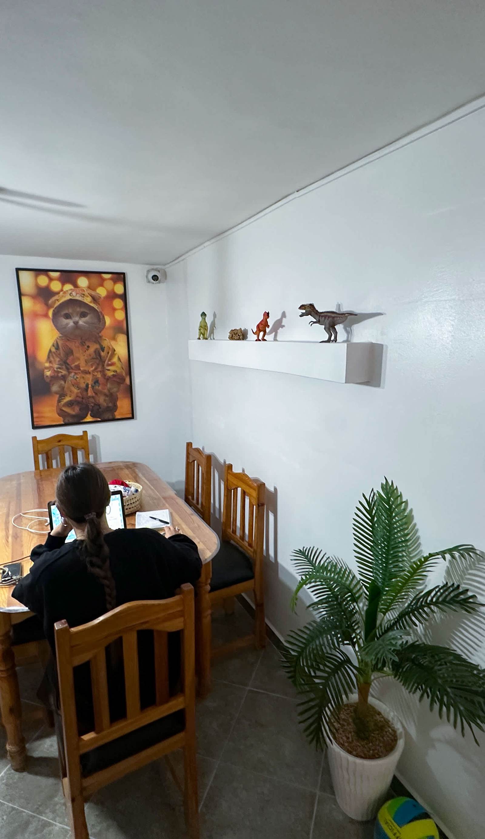 Jurassic Surf House Anza