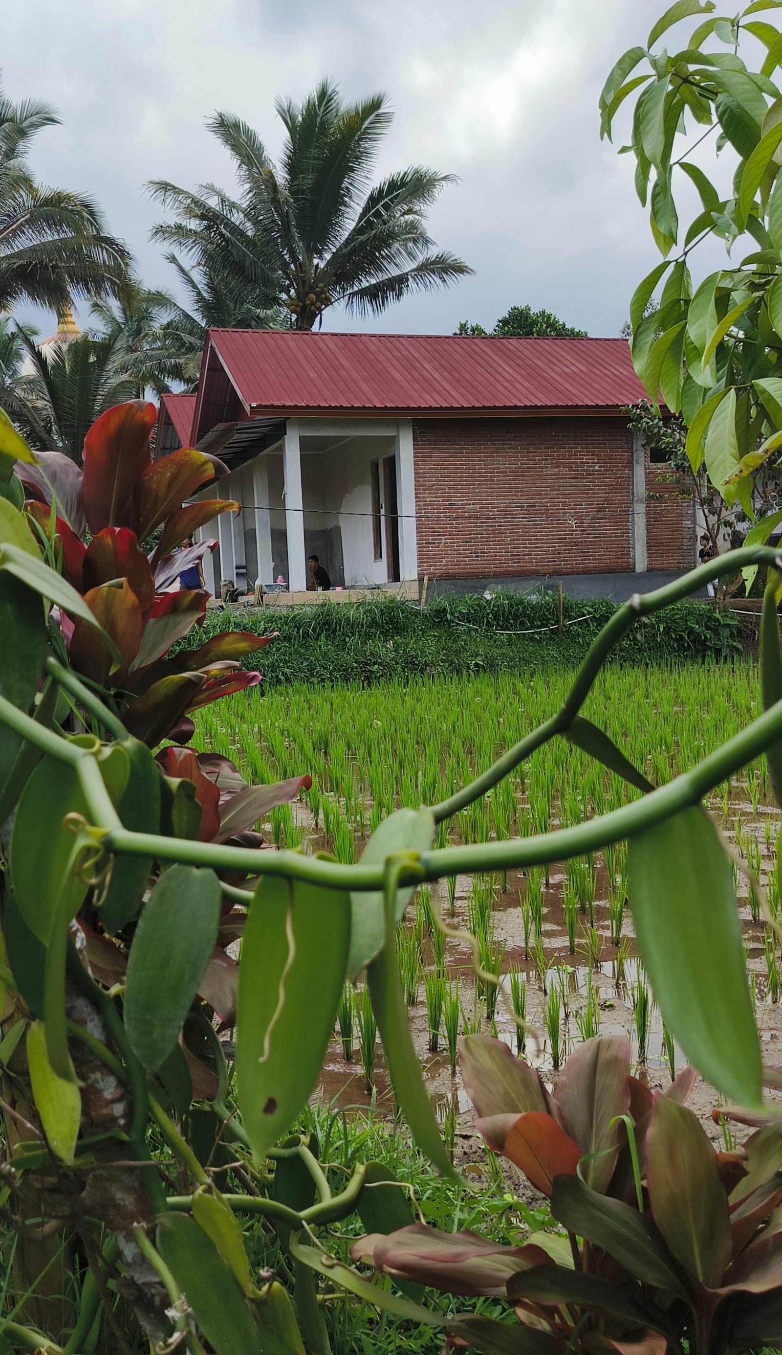 Vaniglia House Tetebatu