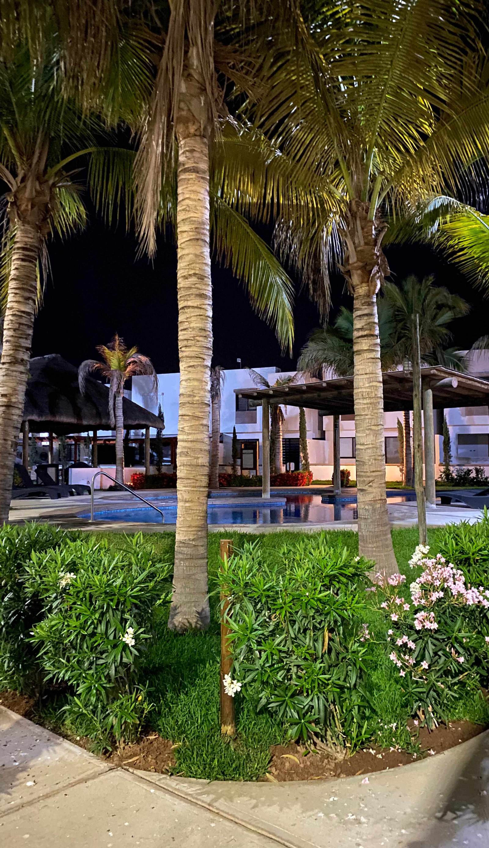 Palmilla Sunscape By GEstores
