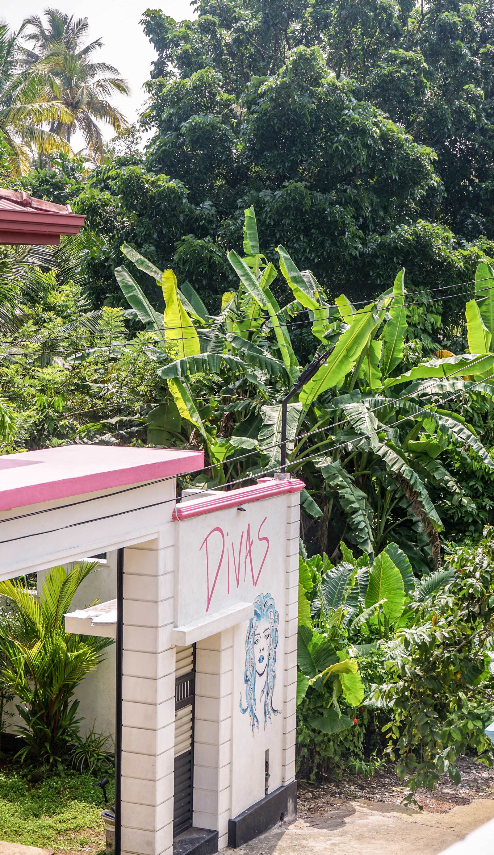 Divas Hostels