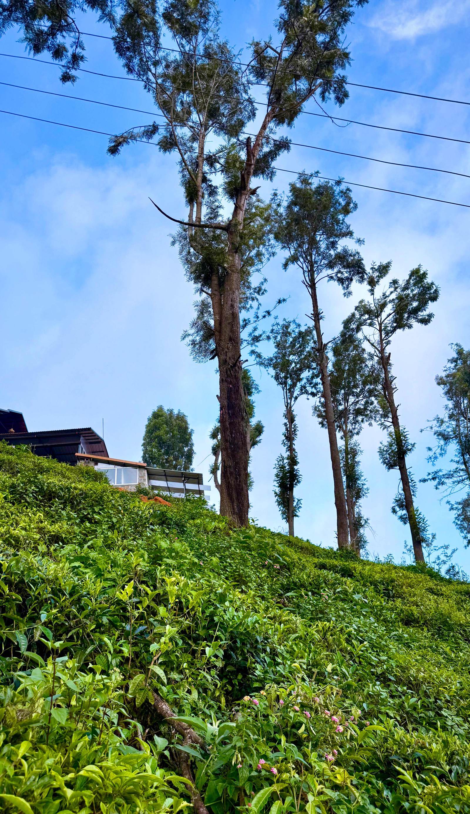 Mad & Nomad Backpackers Hostel