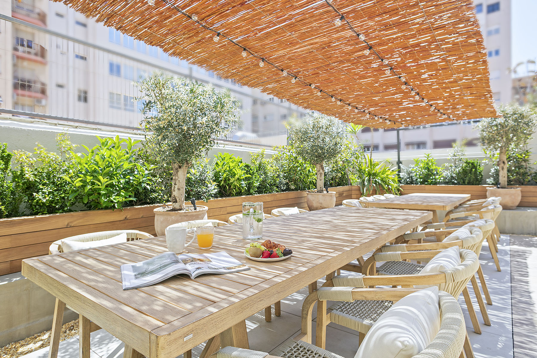 Olivia Barcelona Boutique Hostel
