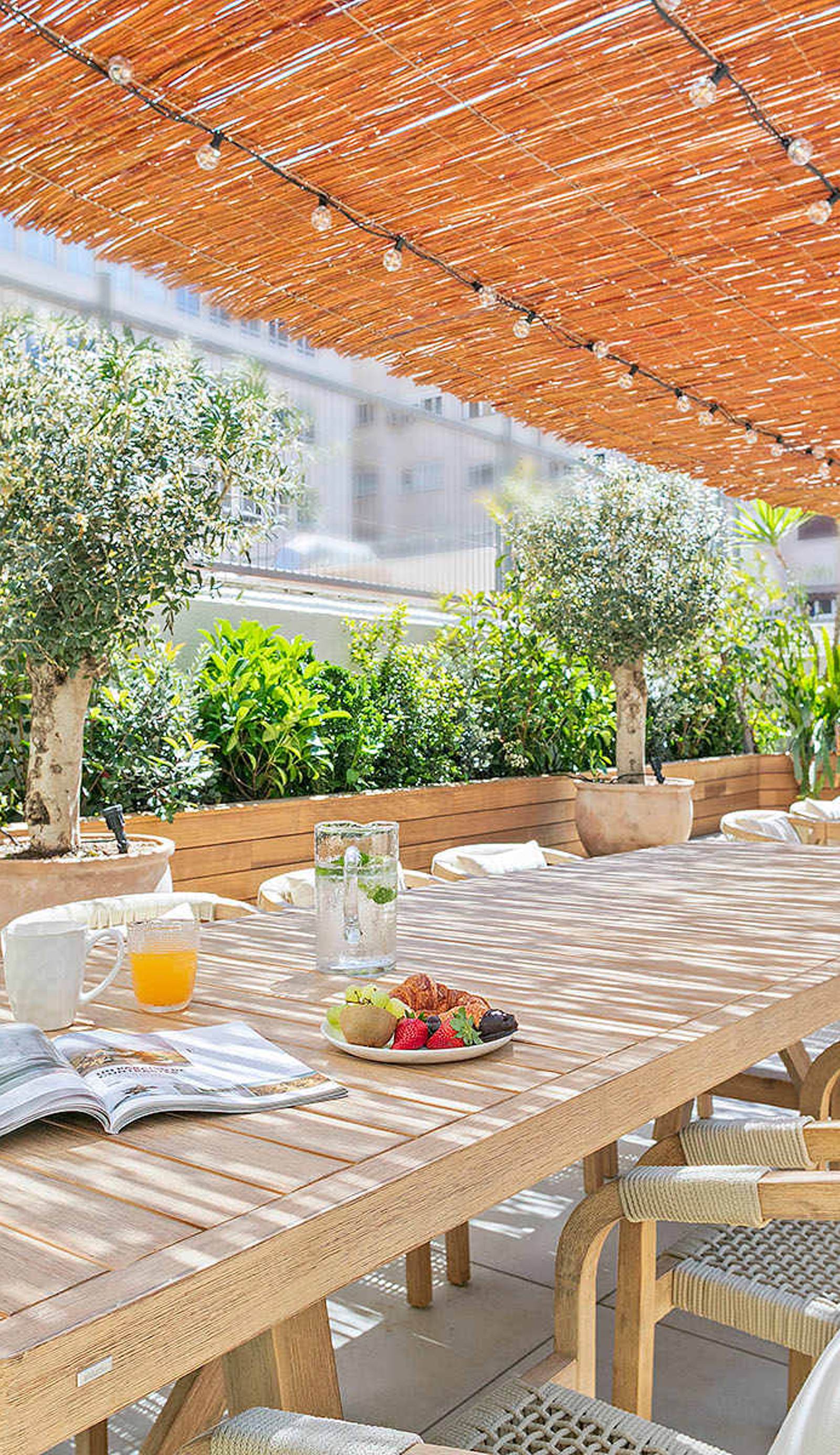 Olivia Barcelona Boutique Hostel