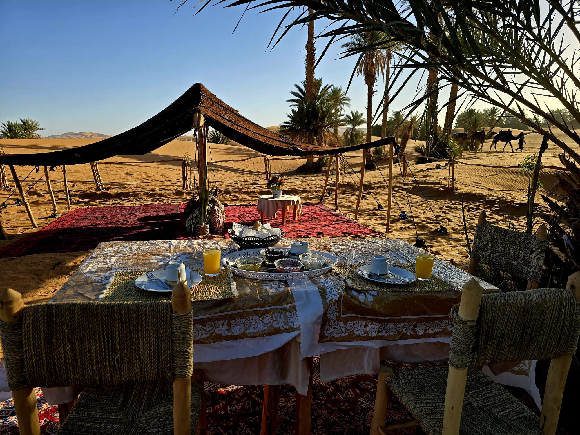 Arena Hostel Camp