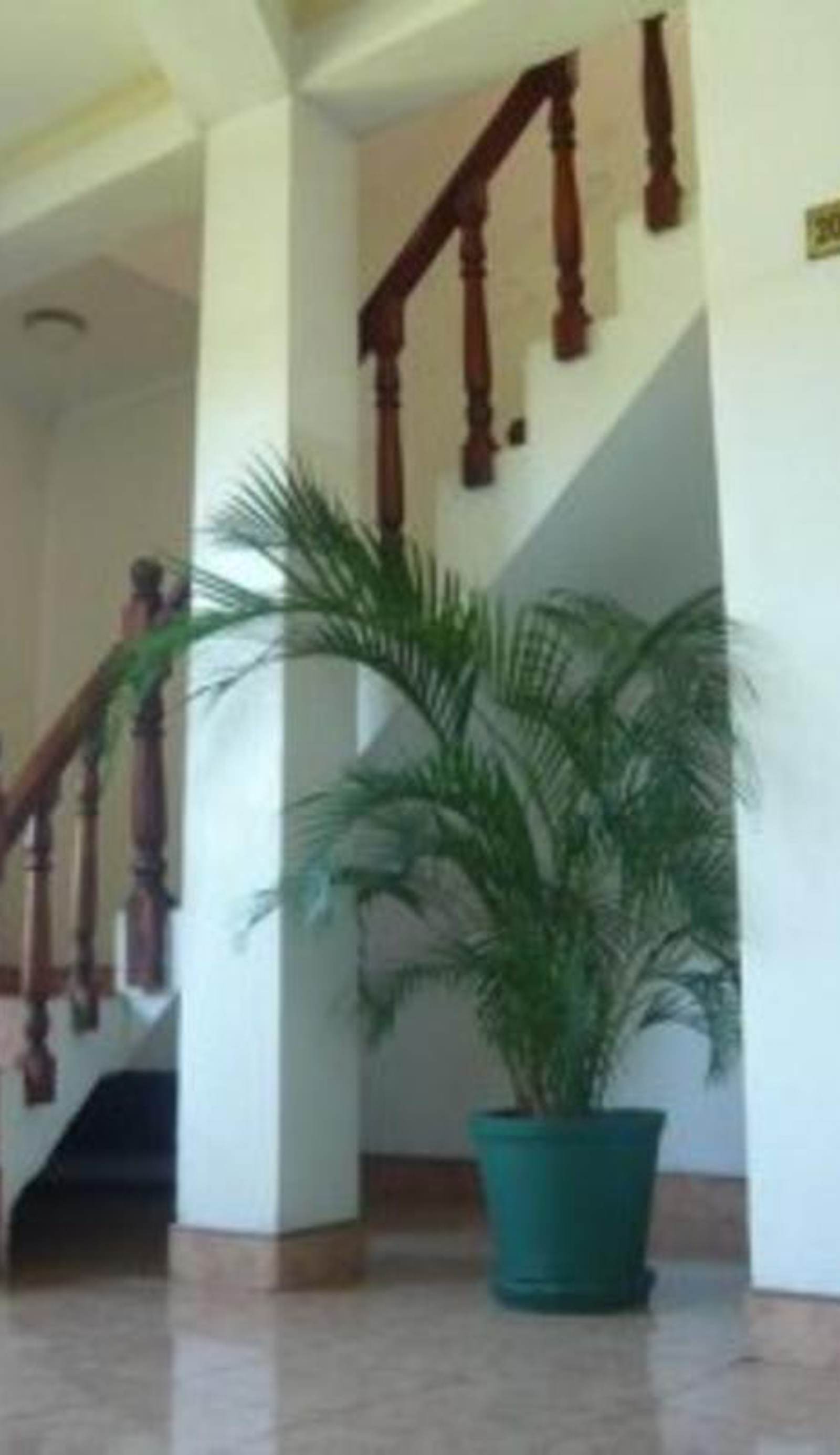 Palm Garden Guest House