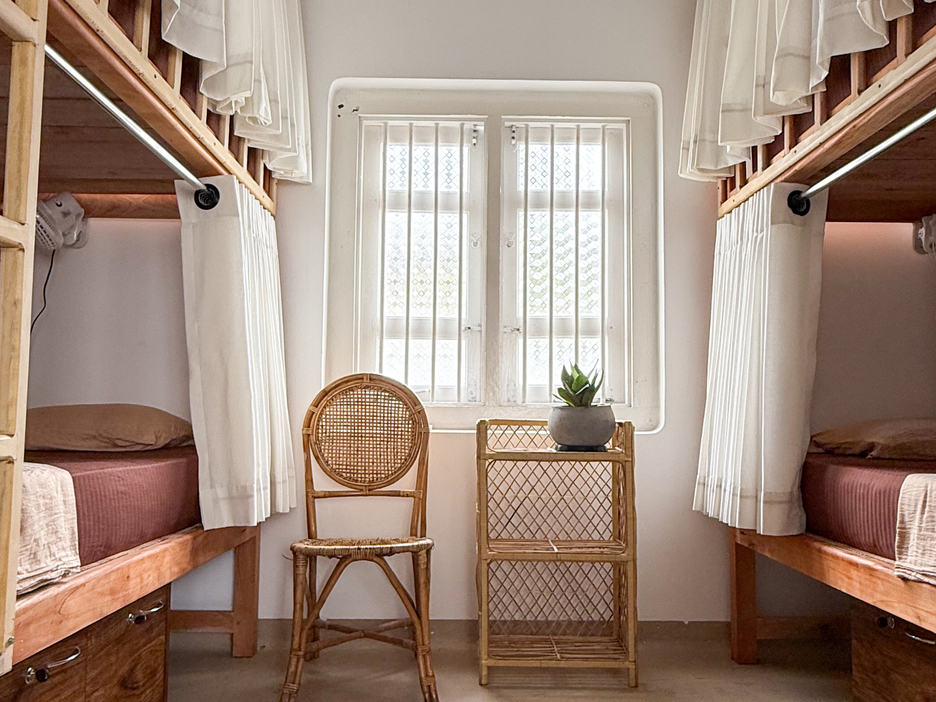 Papaya Tree Hostel