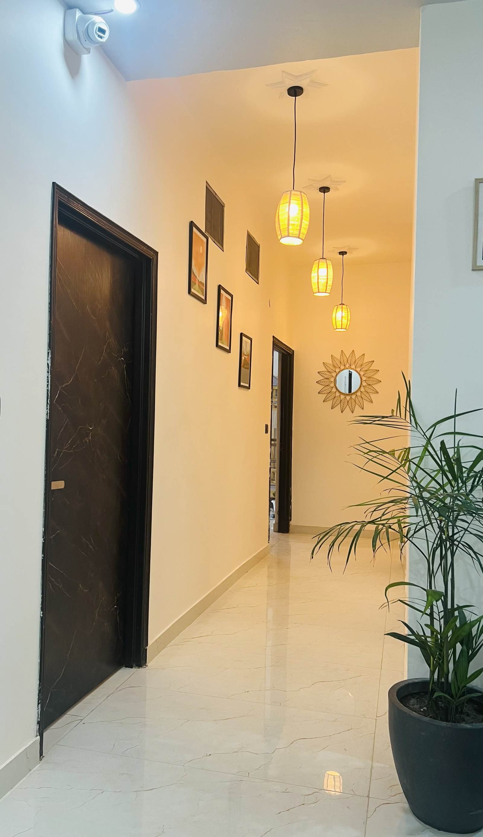 Live Free Hostel Dehradun