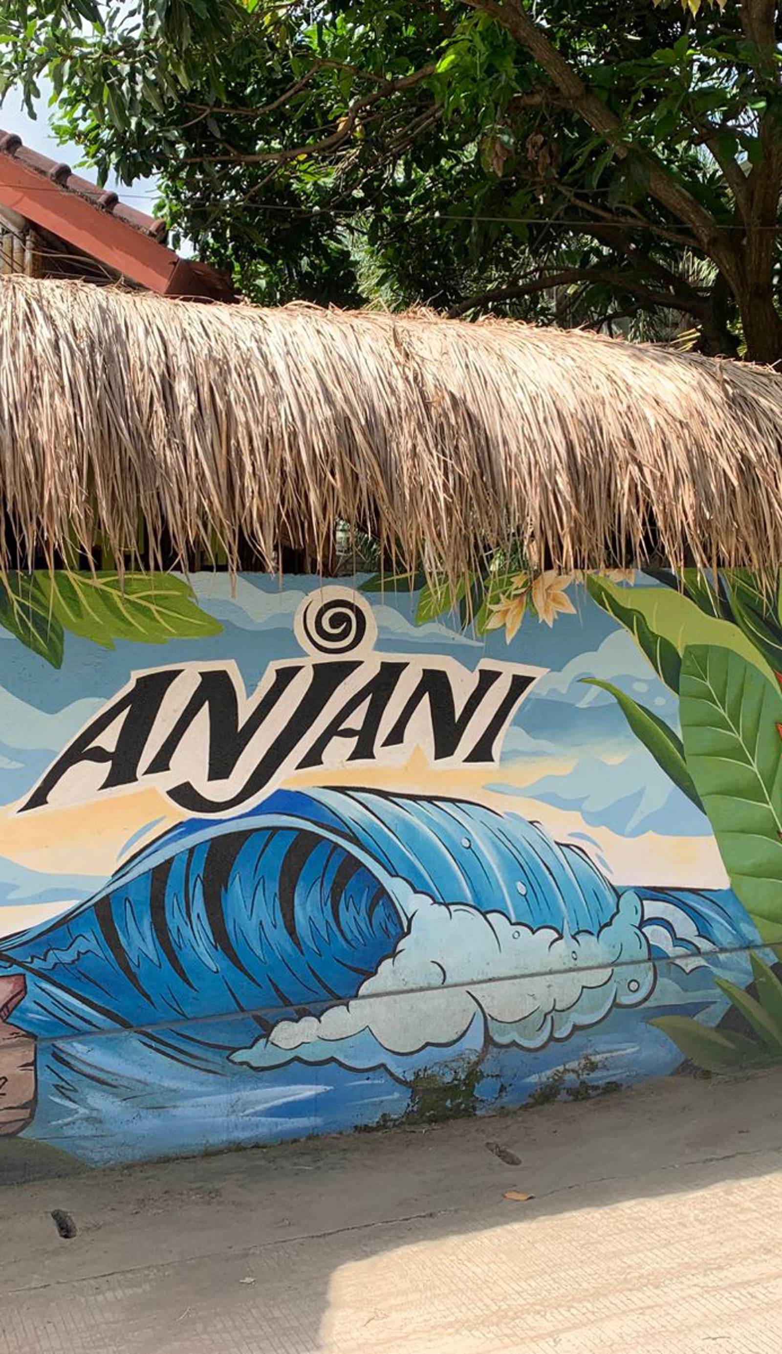 Anjani Surf & Yoga Hostel