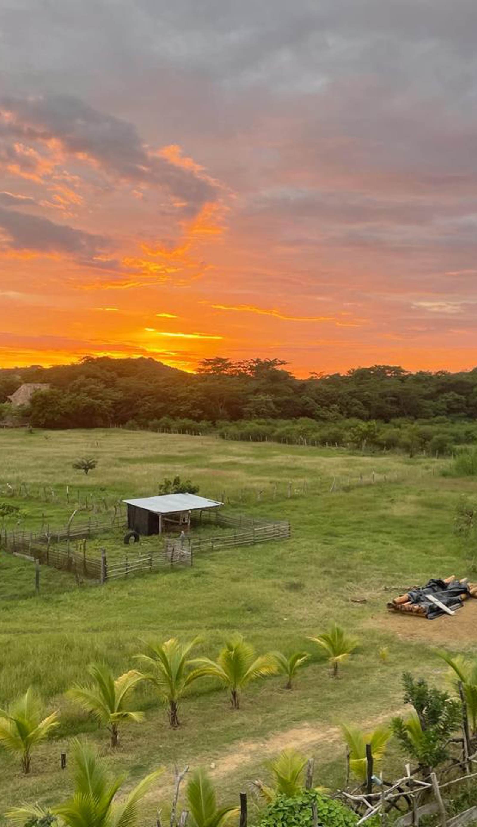 Finca Buena Vida
