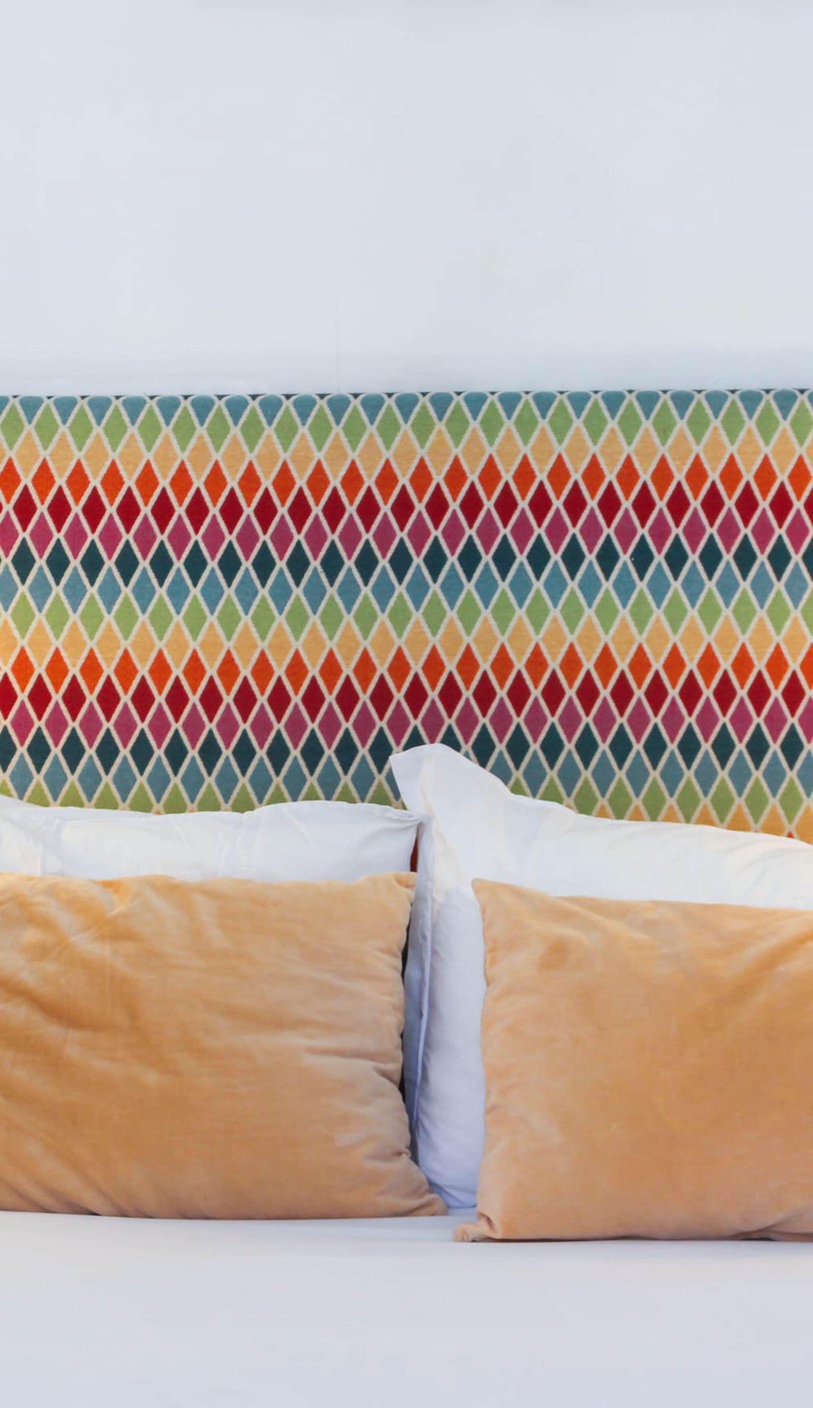 The Color Hostel