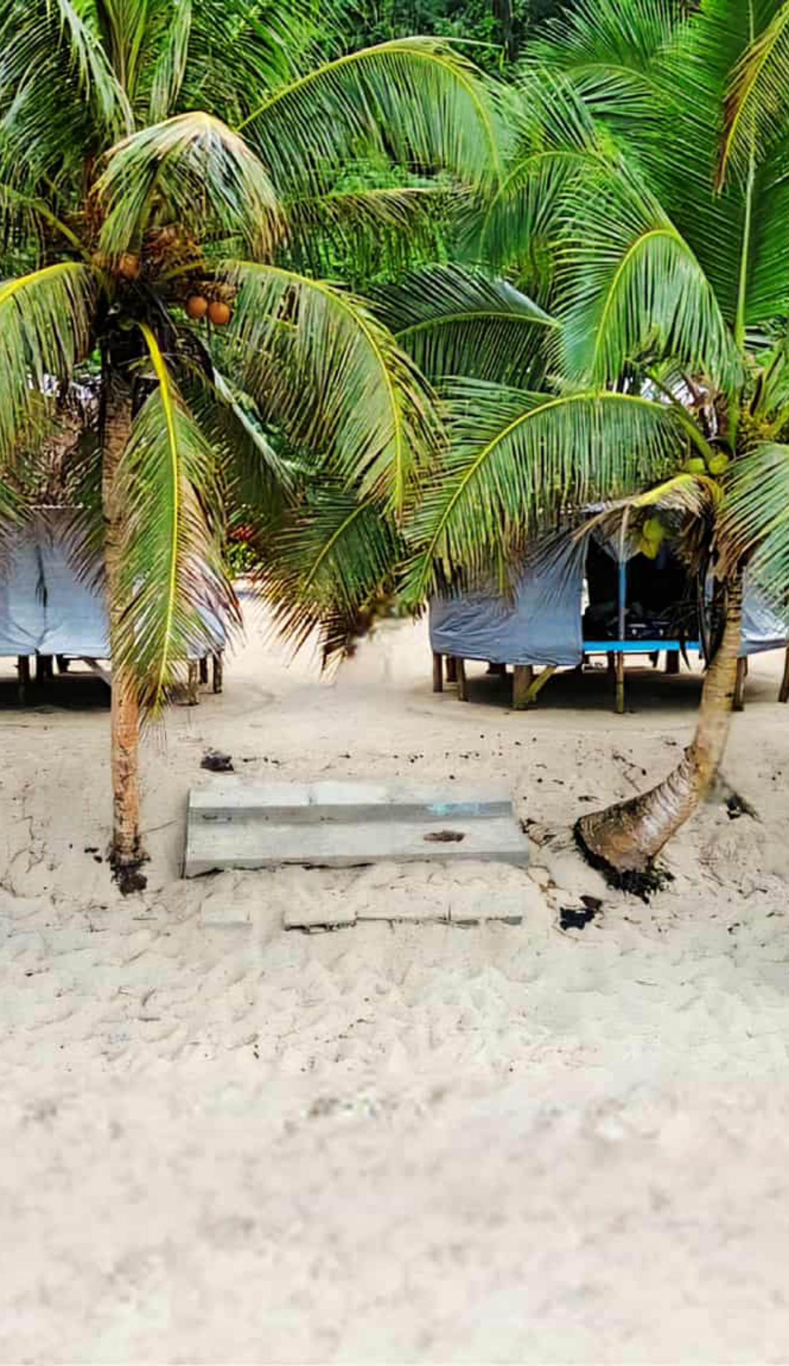 Jaymy Beach Fales